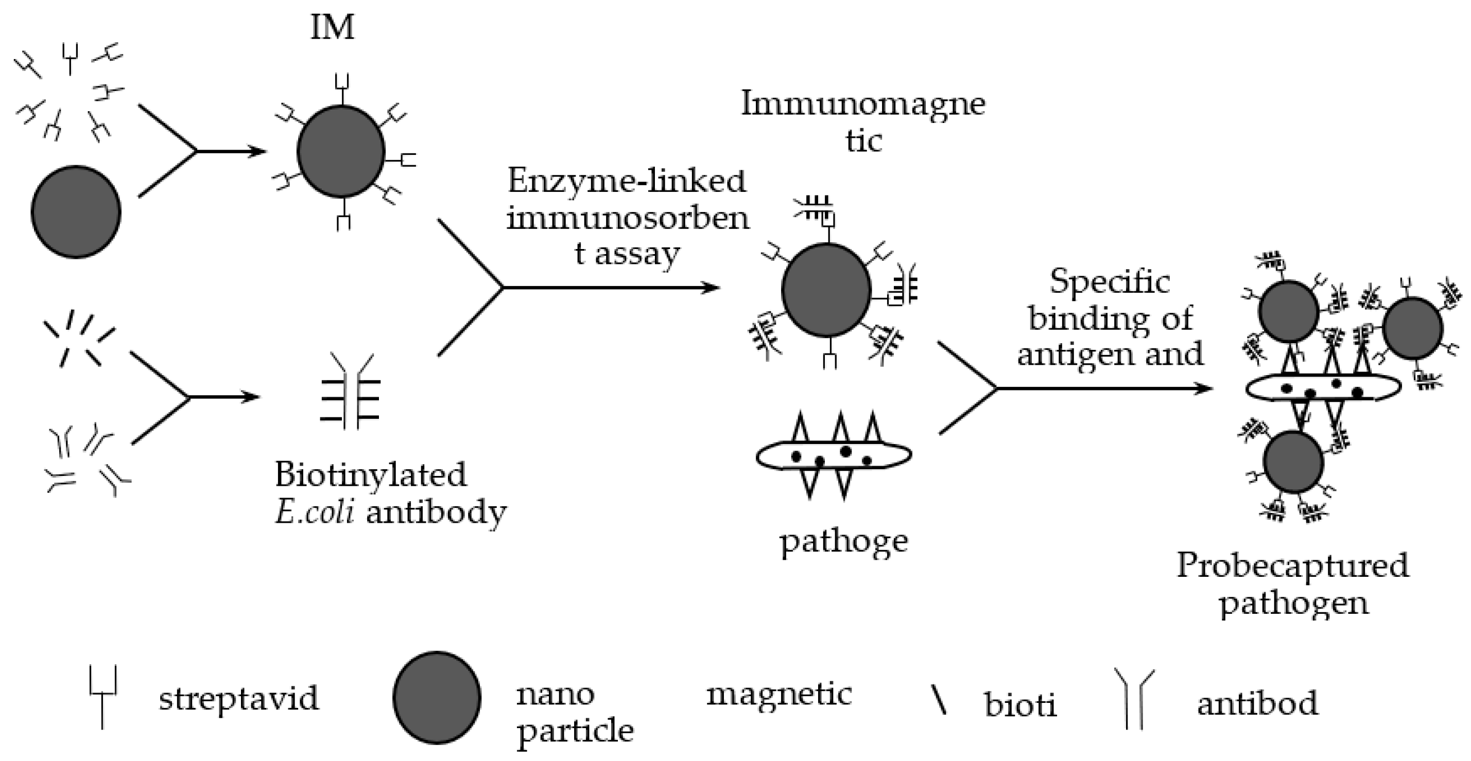Nanomaterials 12 02417 g002 550