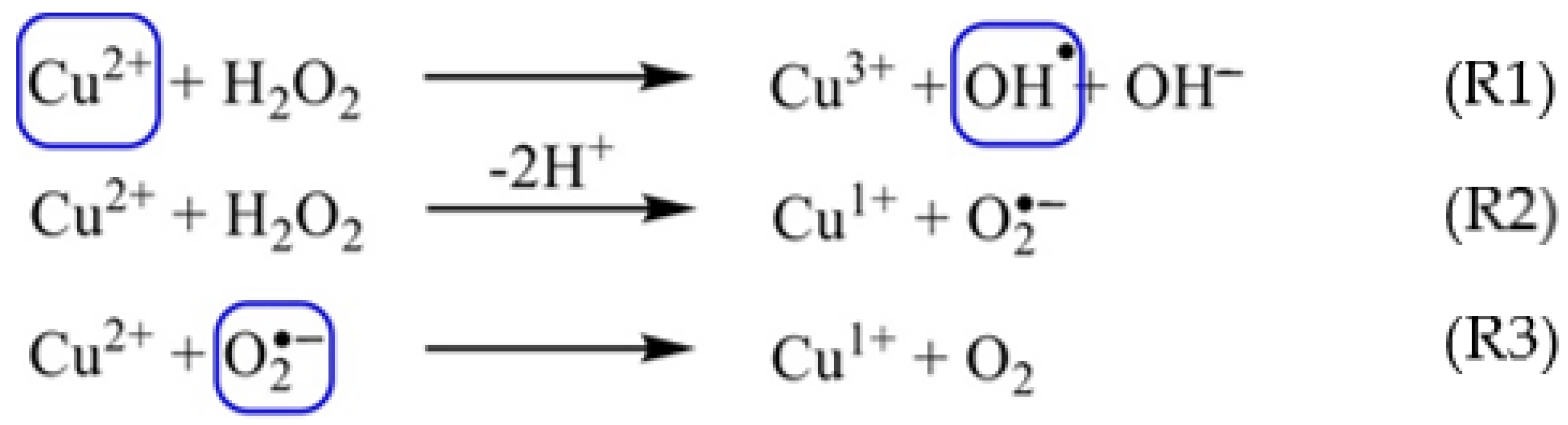 Nanomaterials 12 02422 g001