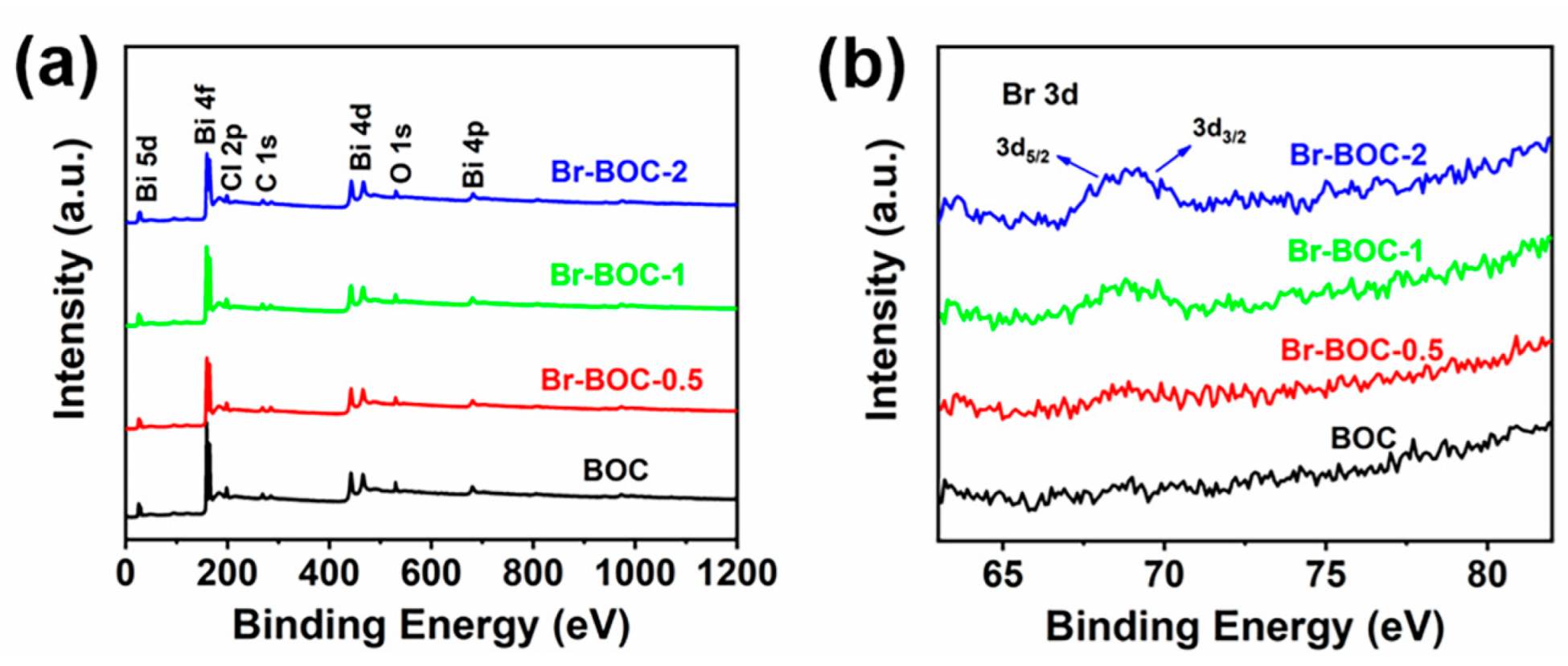 Nanomaterials 12 02423 g005
