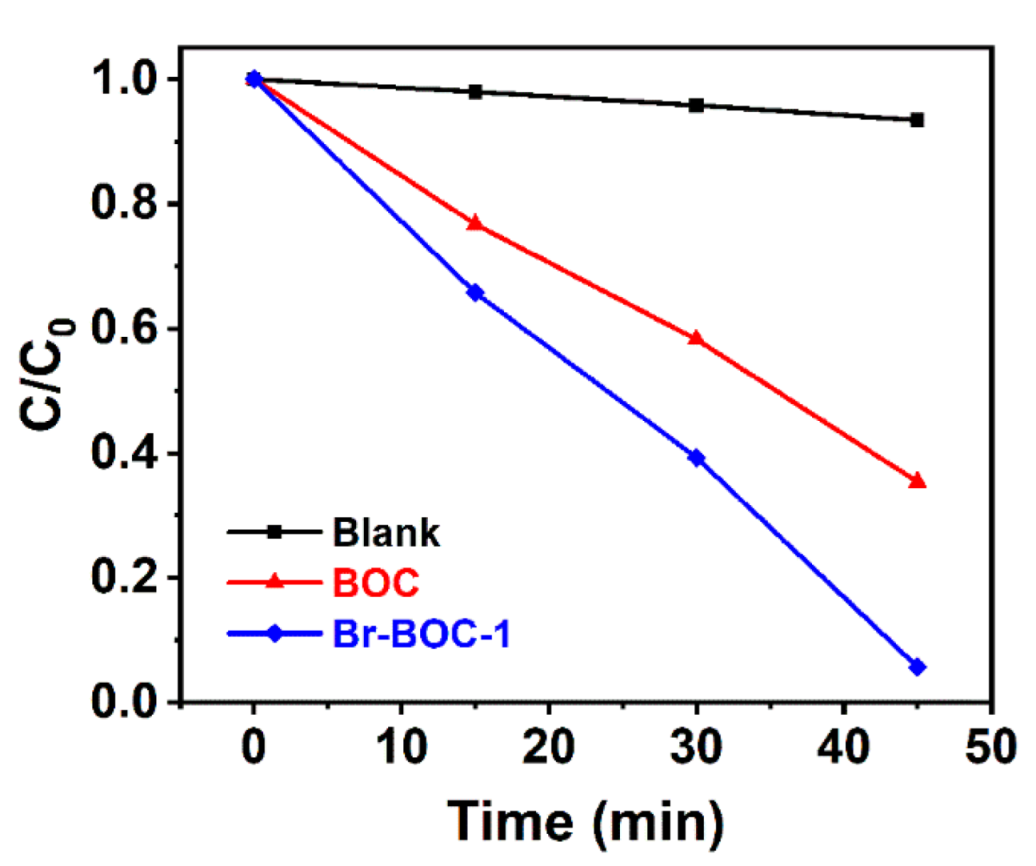 Nanomaterials 12 02423 g010