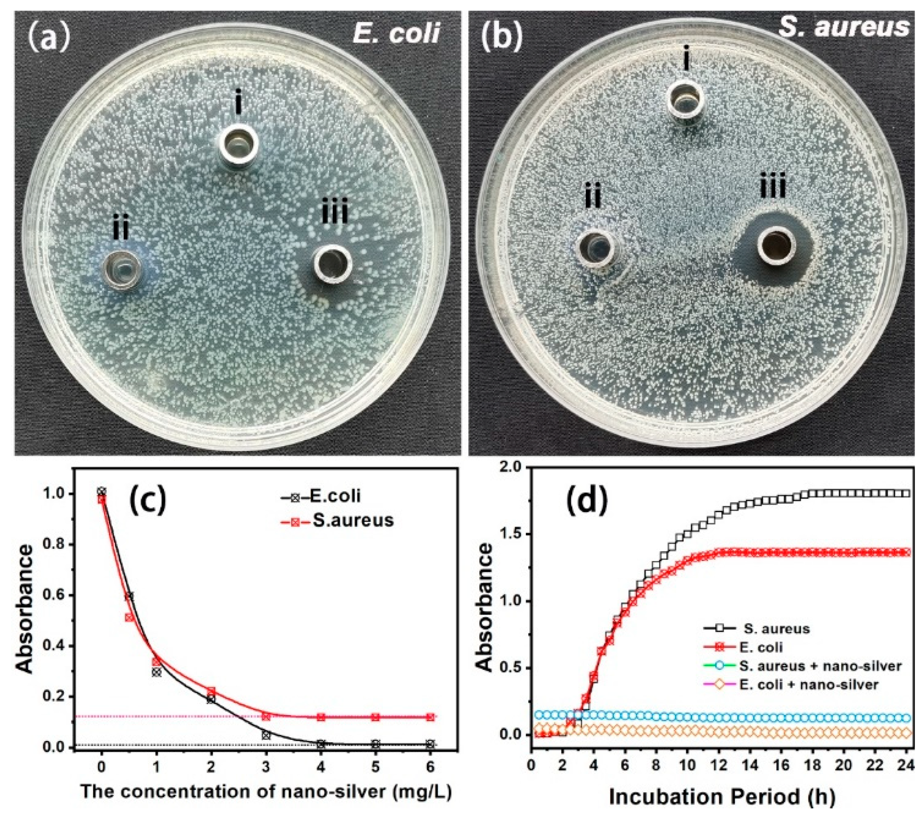 Nanomaterials 12 02429 g004 550