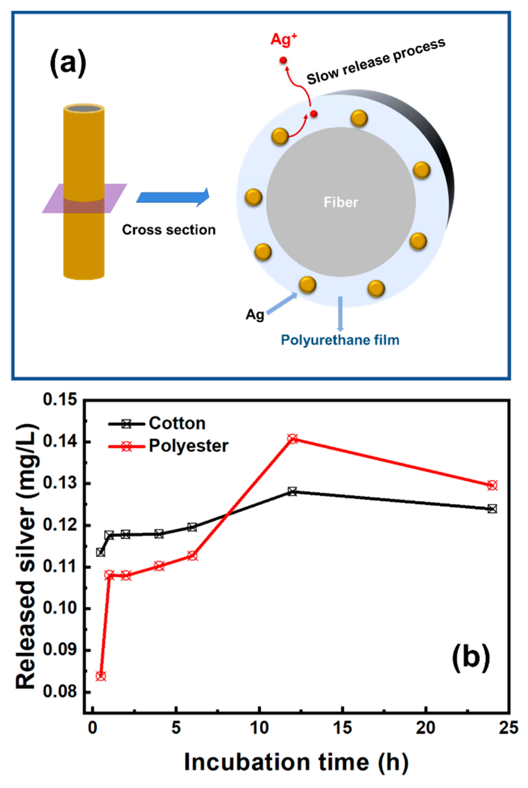 Nanomaterials 12 02429 g007 550