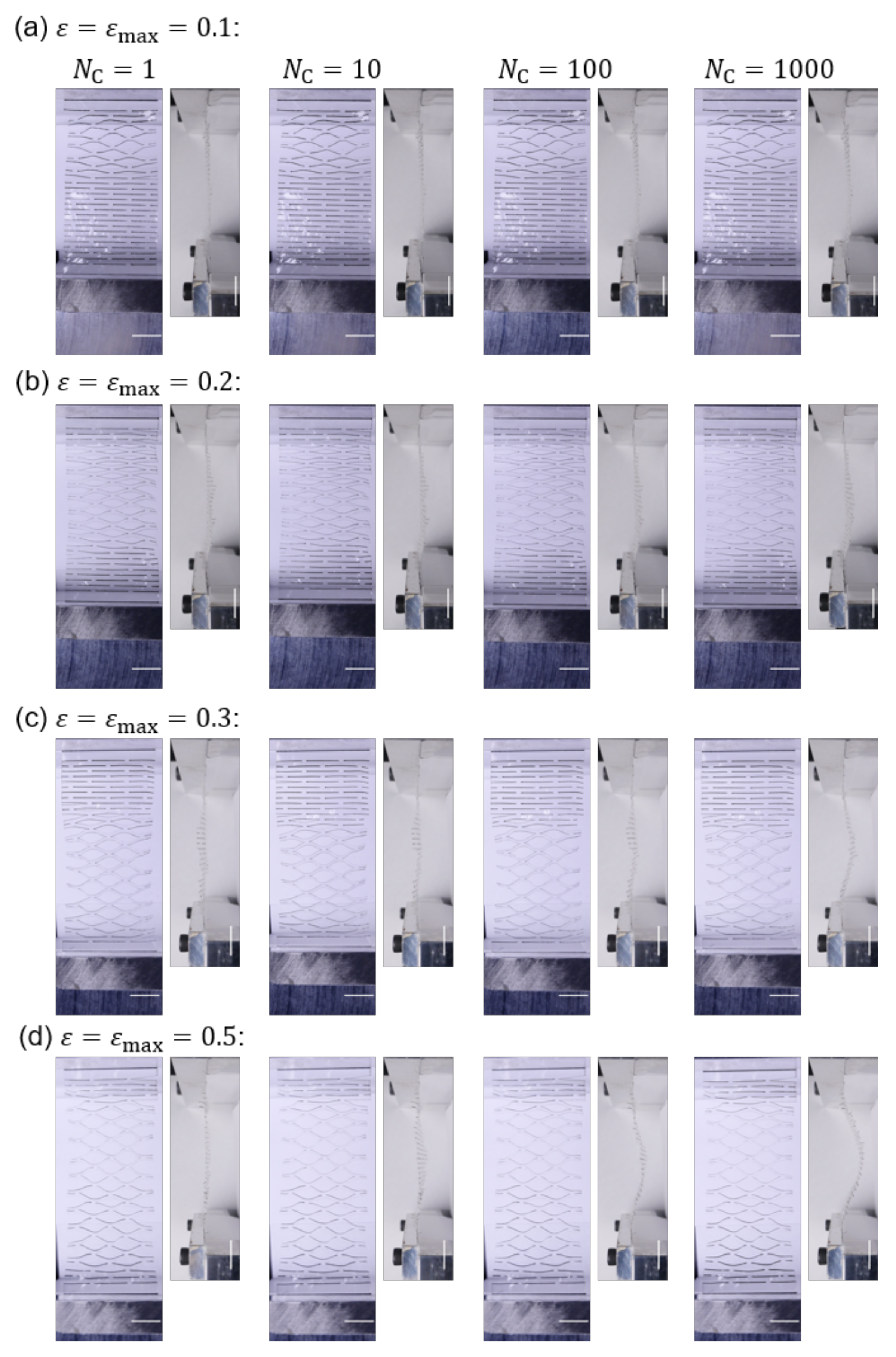 Nanomaterials 12 02431 g003