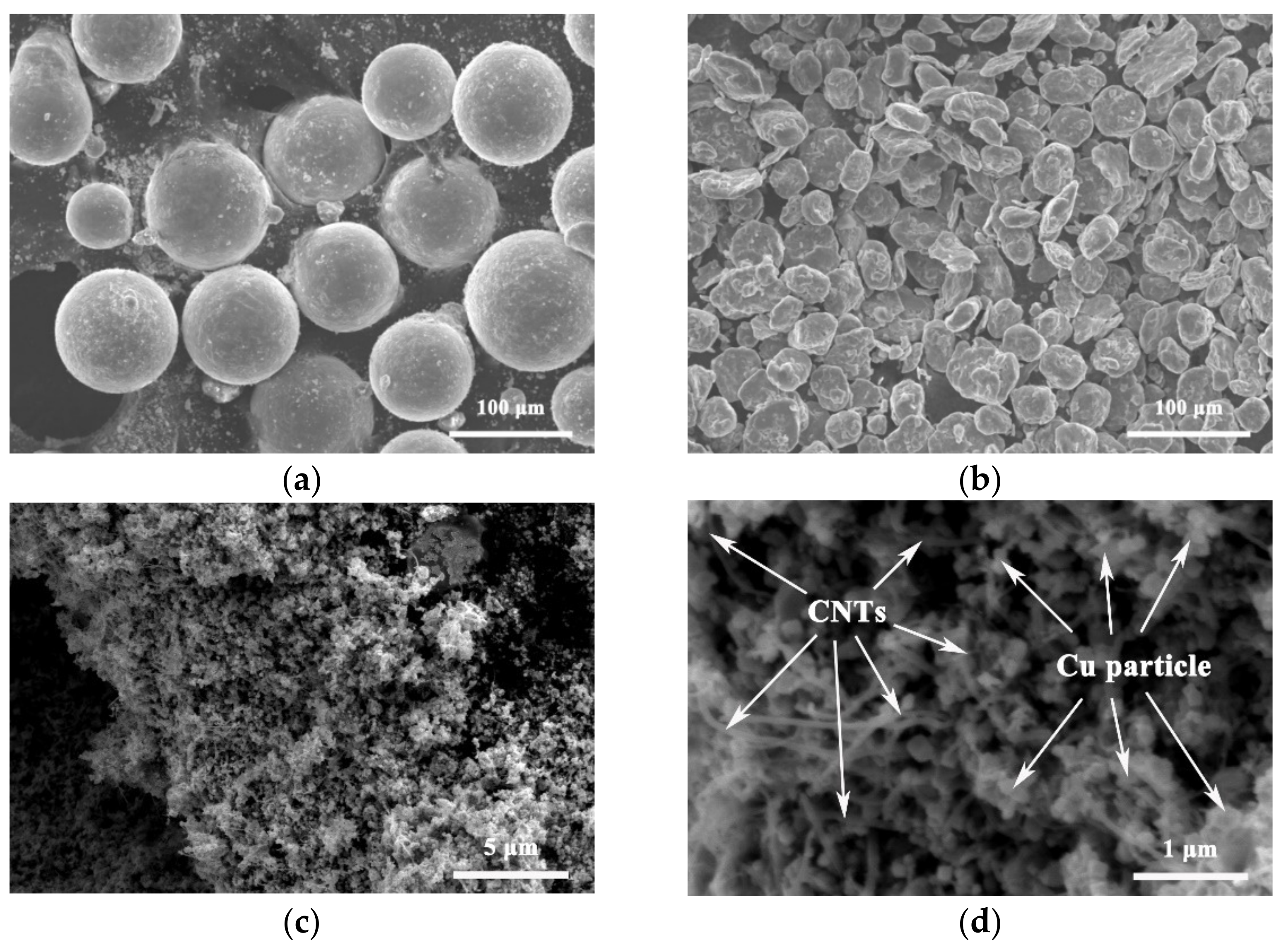 Nanomaterials 12 02432 g002 550