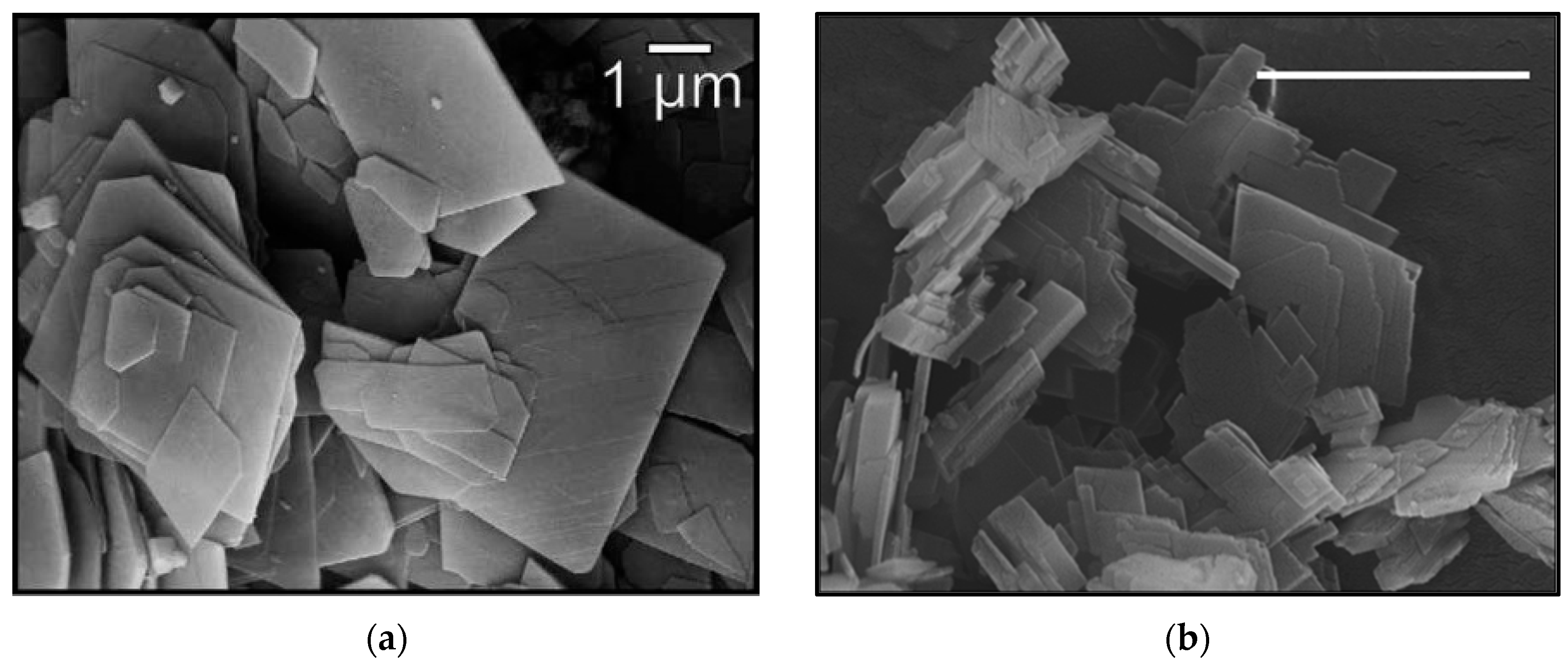 Nanomaterials 12 02433 g002 550