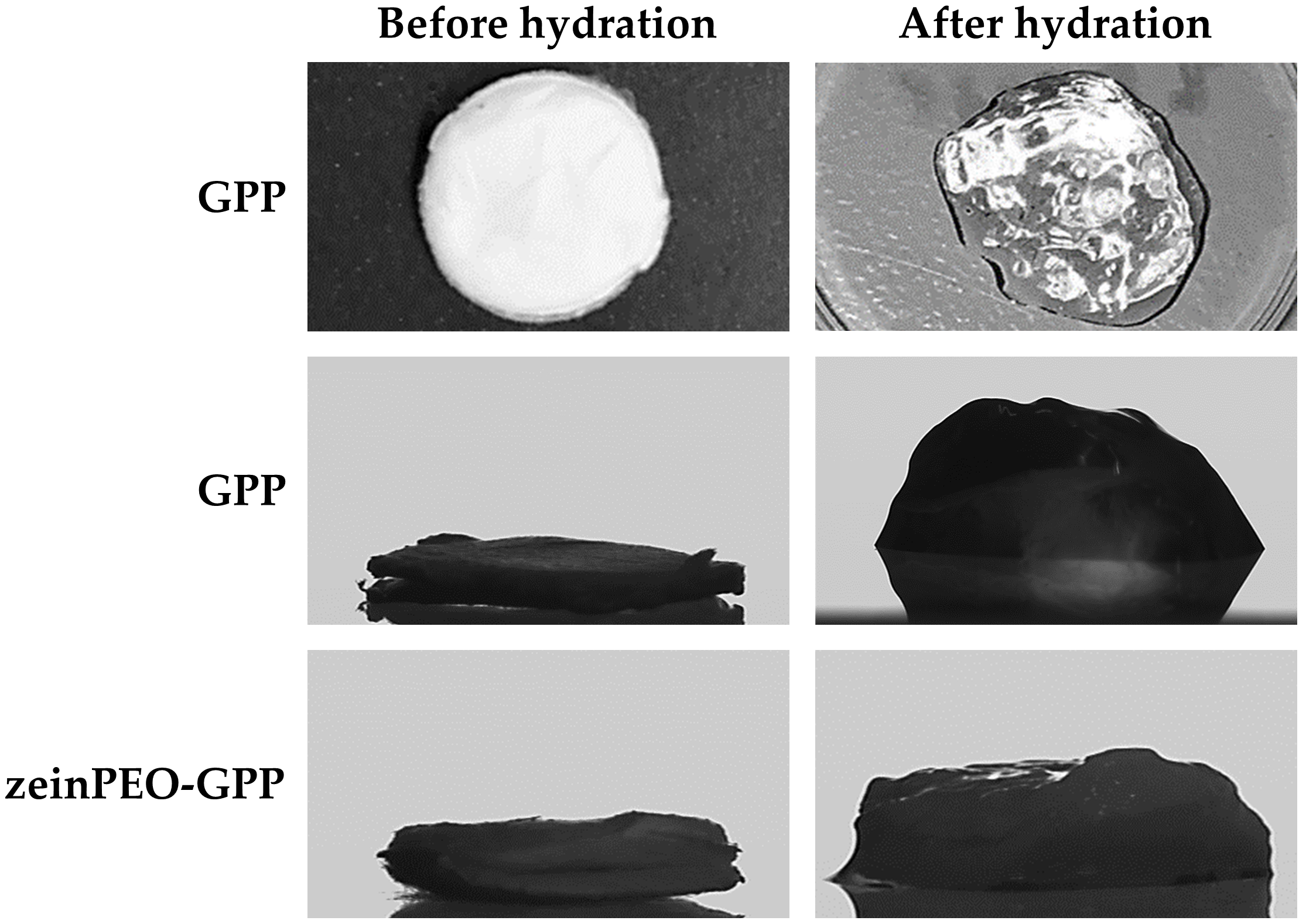 Nanomaterials 12 02437 g0a1