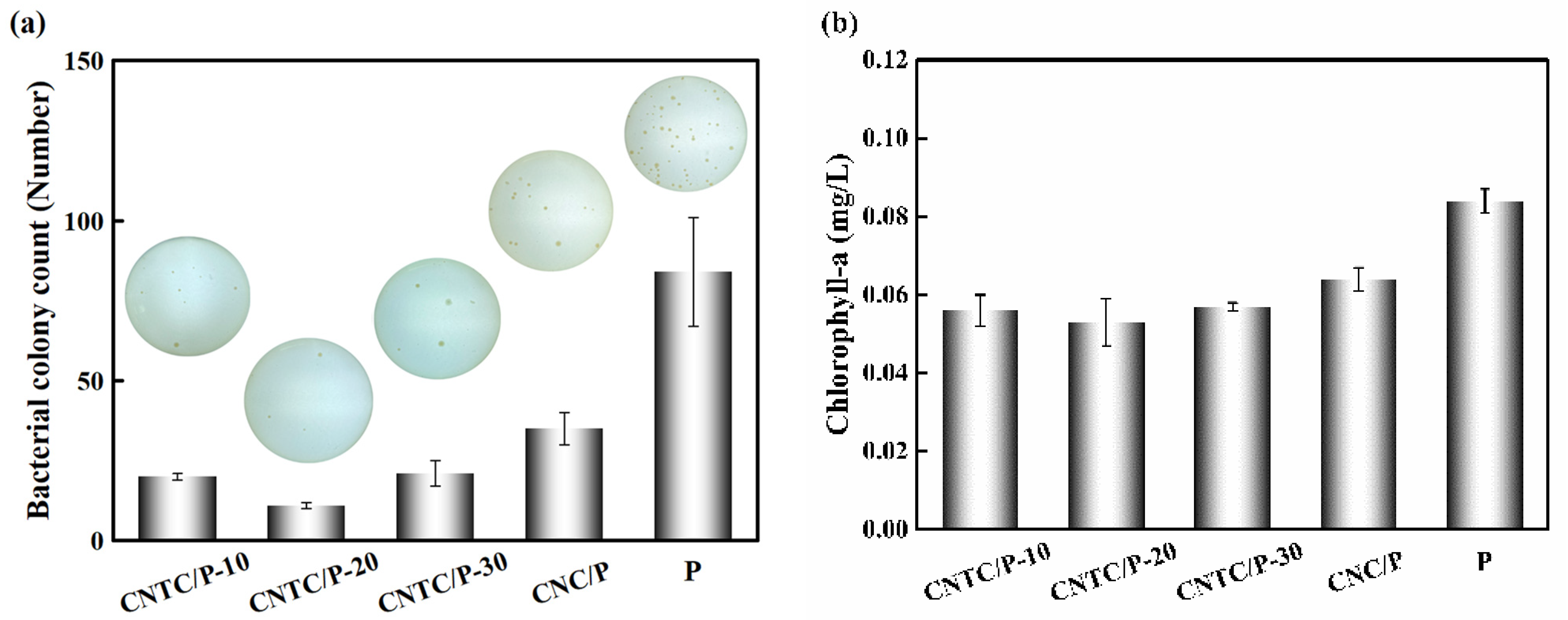 Nanomaterials 12 02442 g007