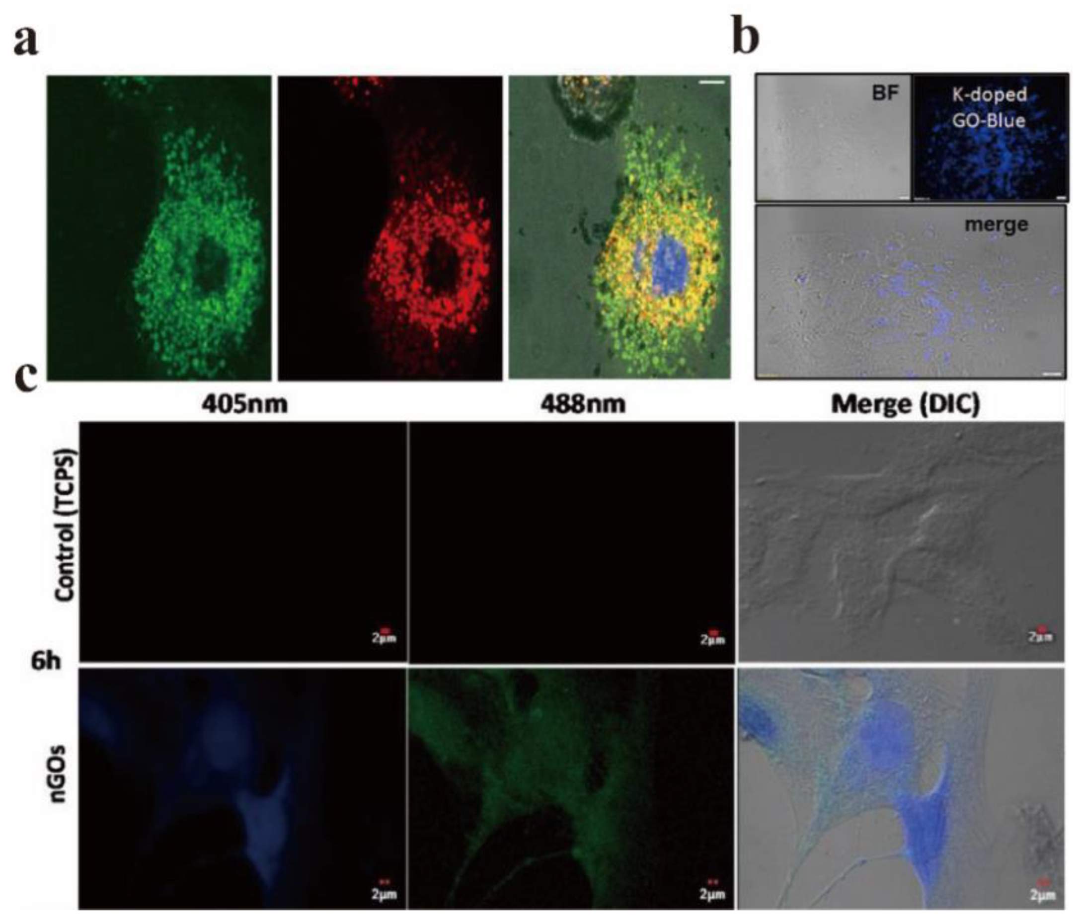 Nanomaterials 12 02444 g016