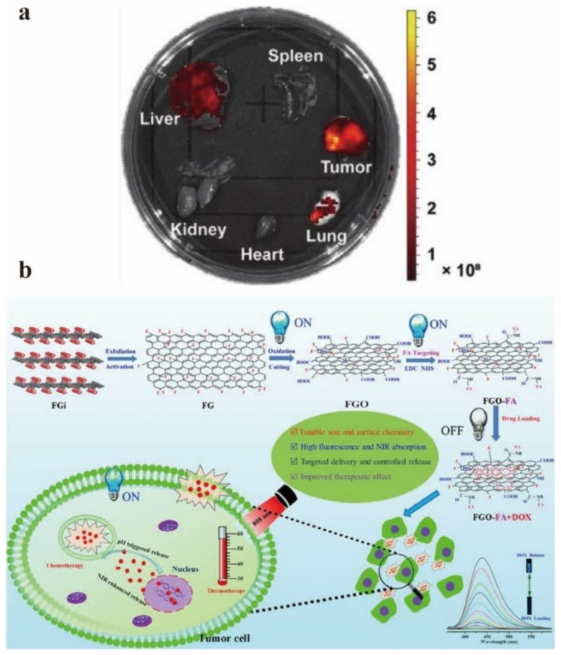 Nanomaterials 12 02444 g017