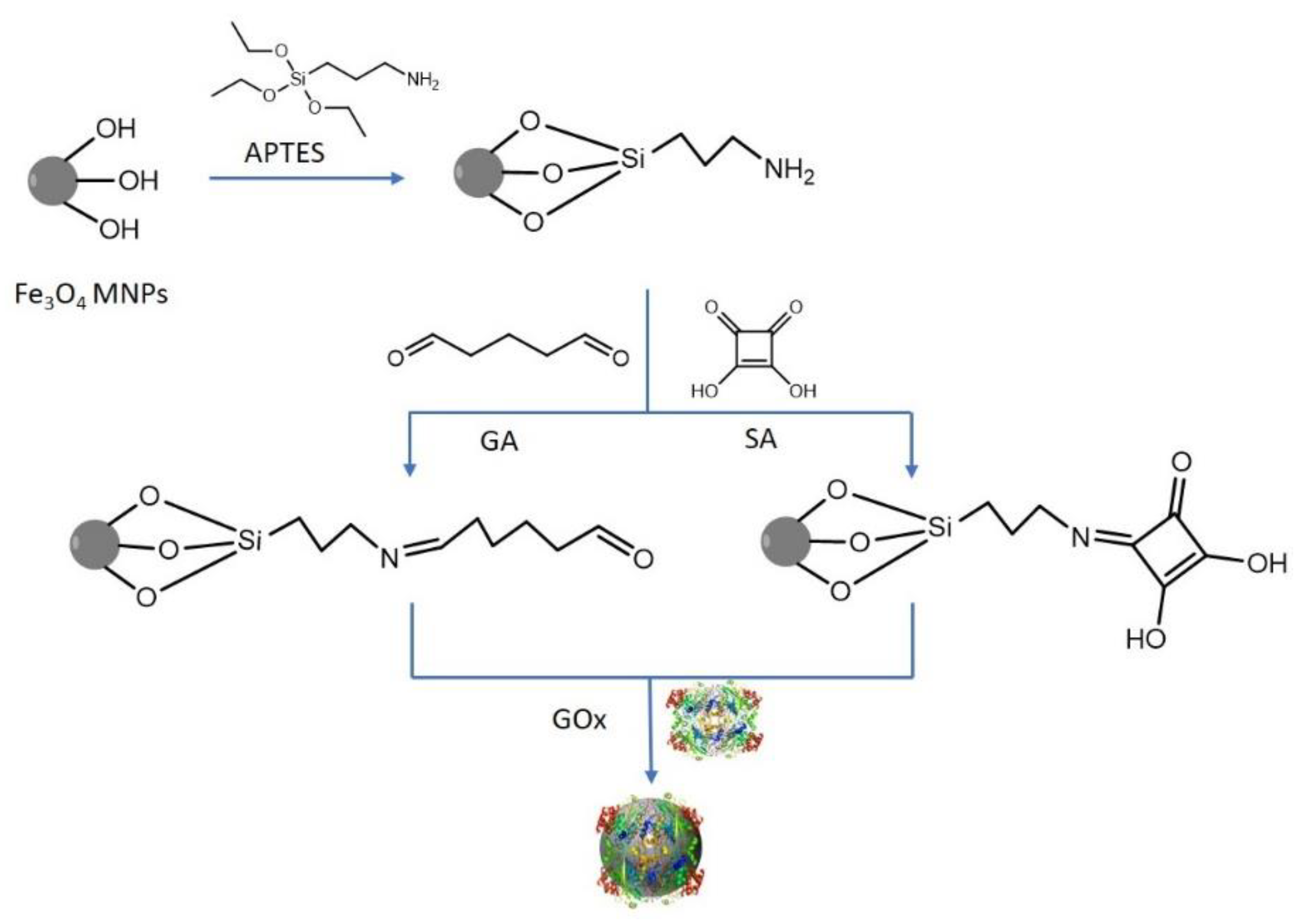 Nanomaterials 12 02445 g001 550