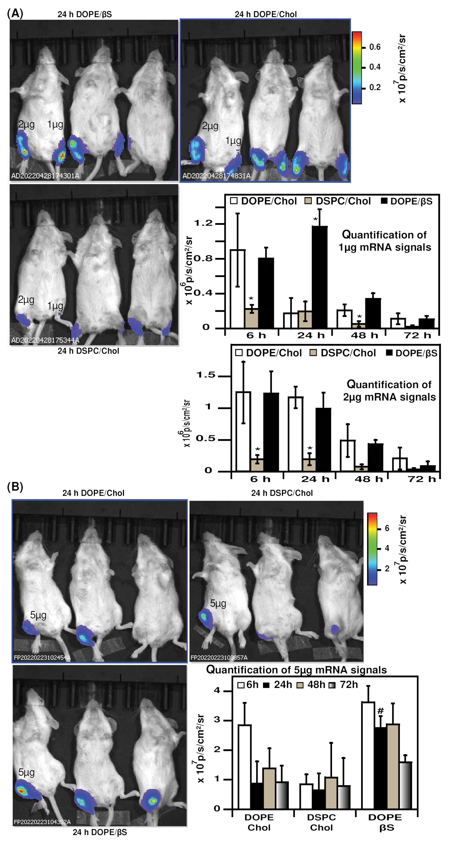 Nanomaterials 12 02446 g004 550