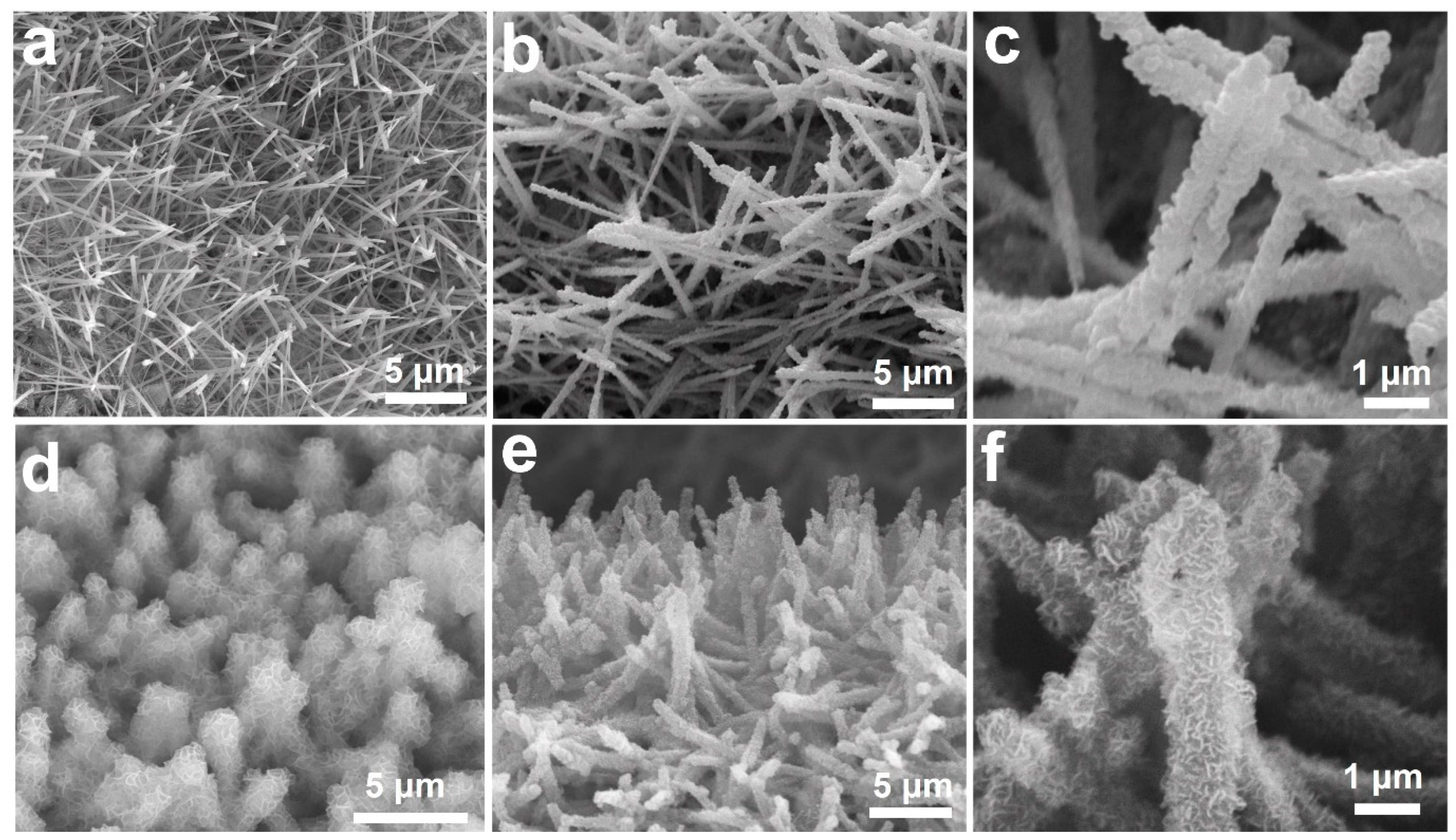 Nanomaterials 12 02457 g002