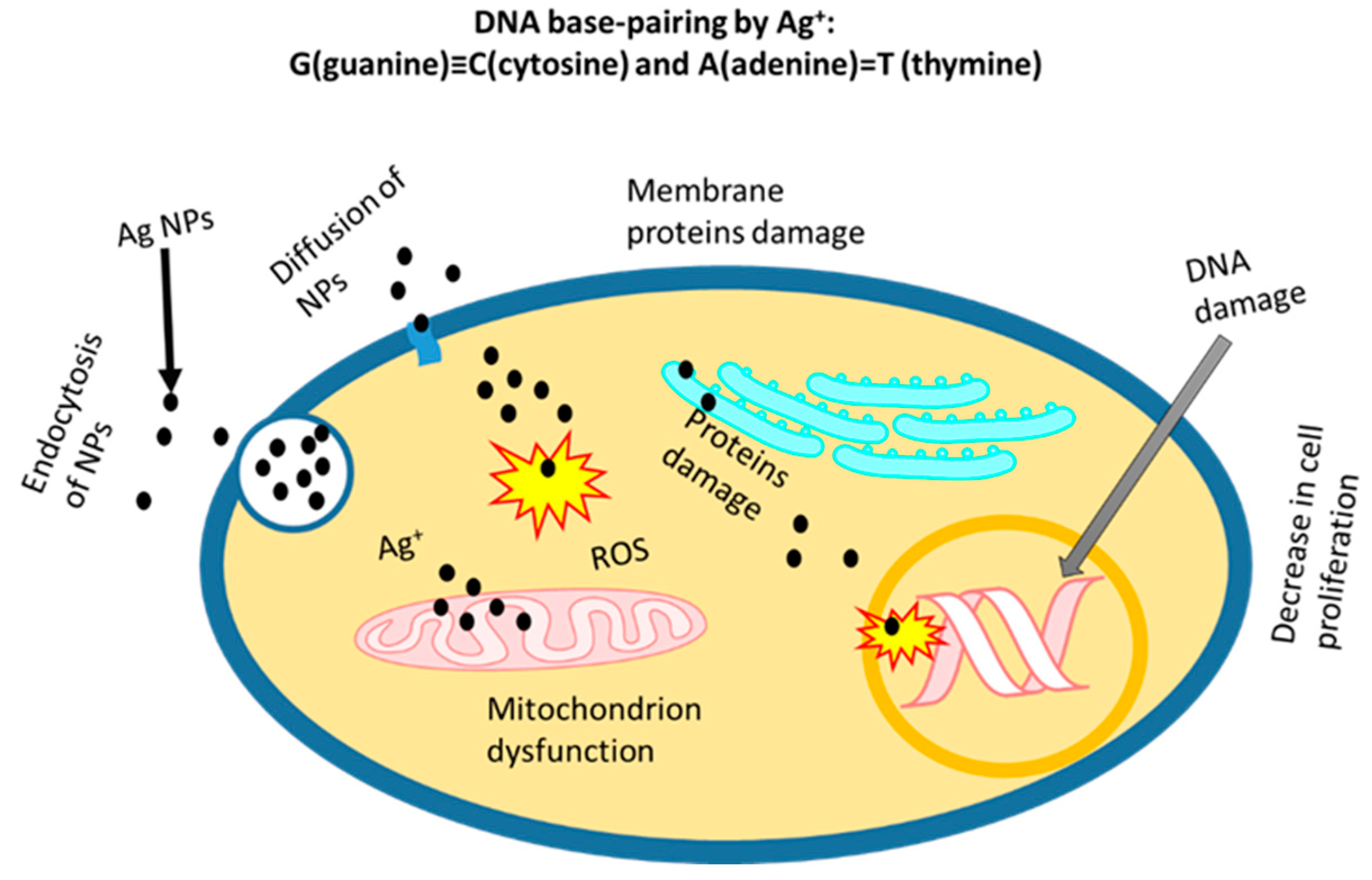 Nanomaterials 12 02462 g004 Nanomaterials 12 02462 g004