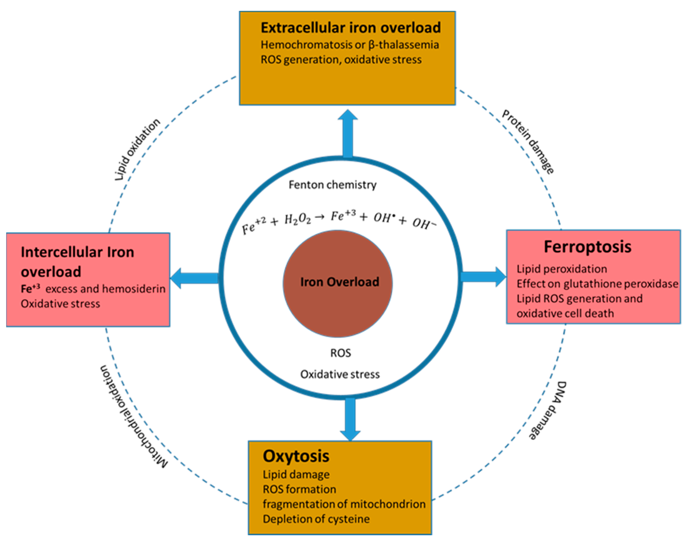 Nanomaterials 12 02462 g007 Nanomaterials 12 02462 g007