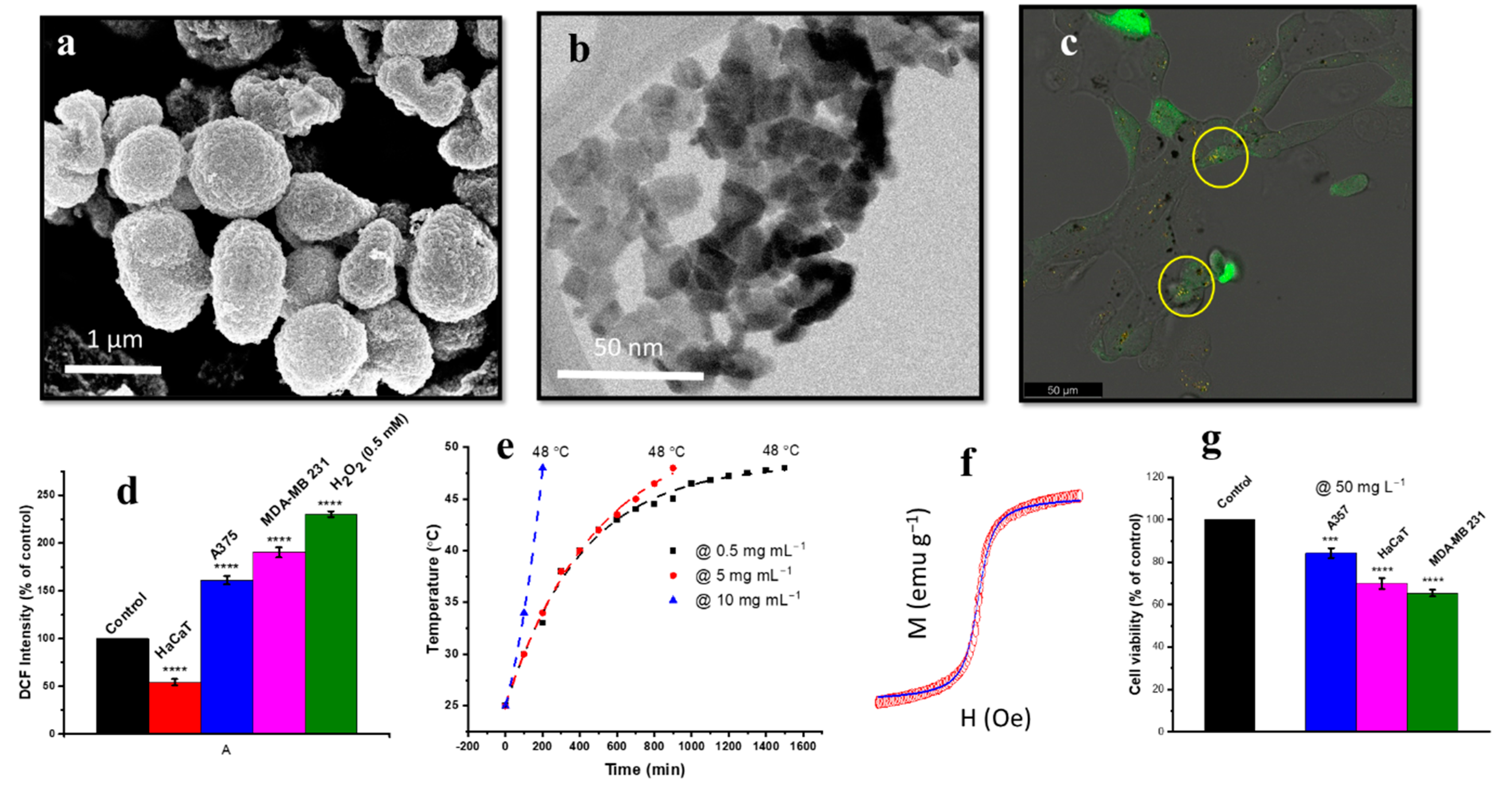 Nanomaterials 12 02462 g009 Nanomaterials 12 02462 g009
