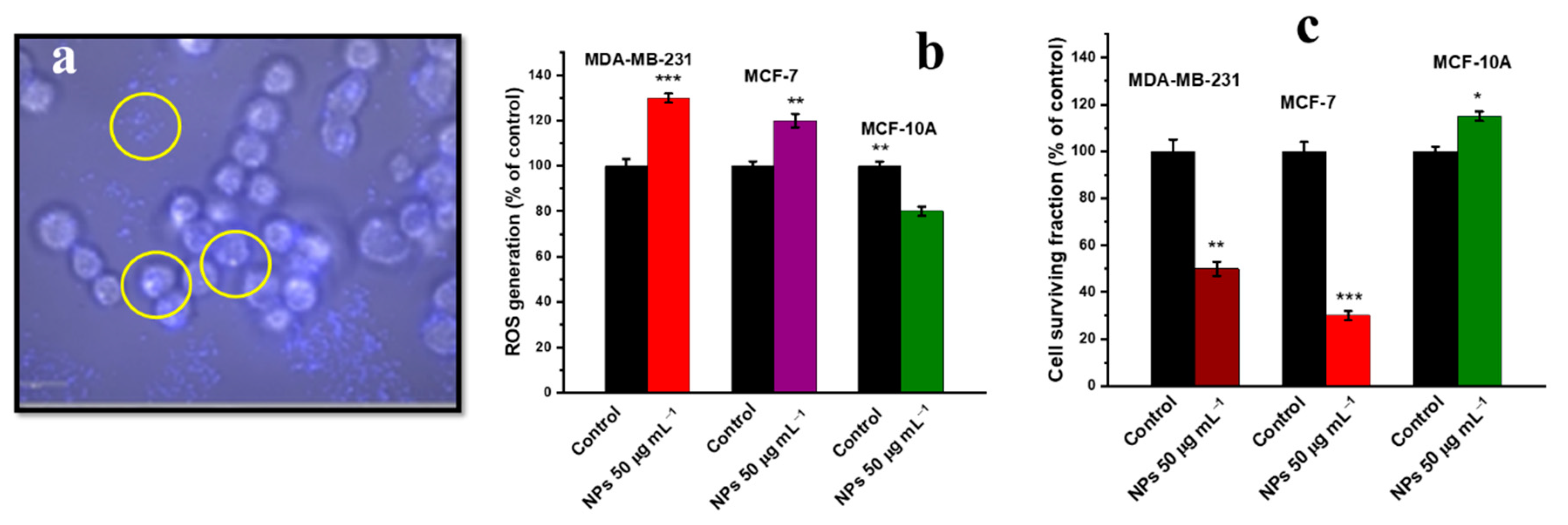 Nanomaterials 12 02462 g010 Nanomaterials 12 02462 g010