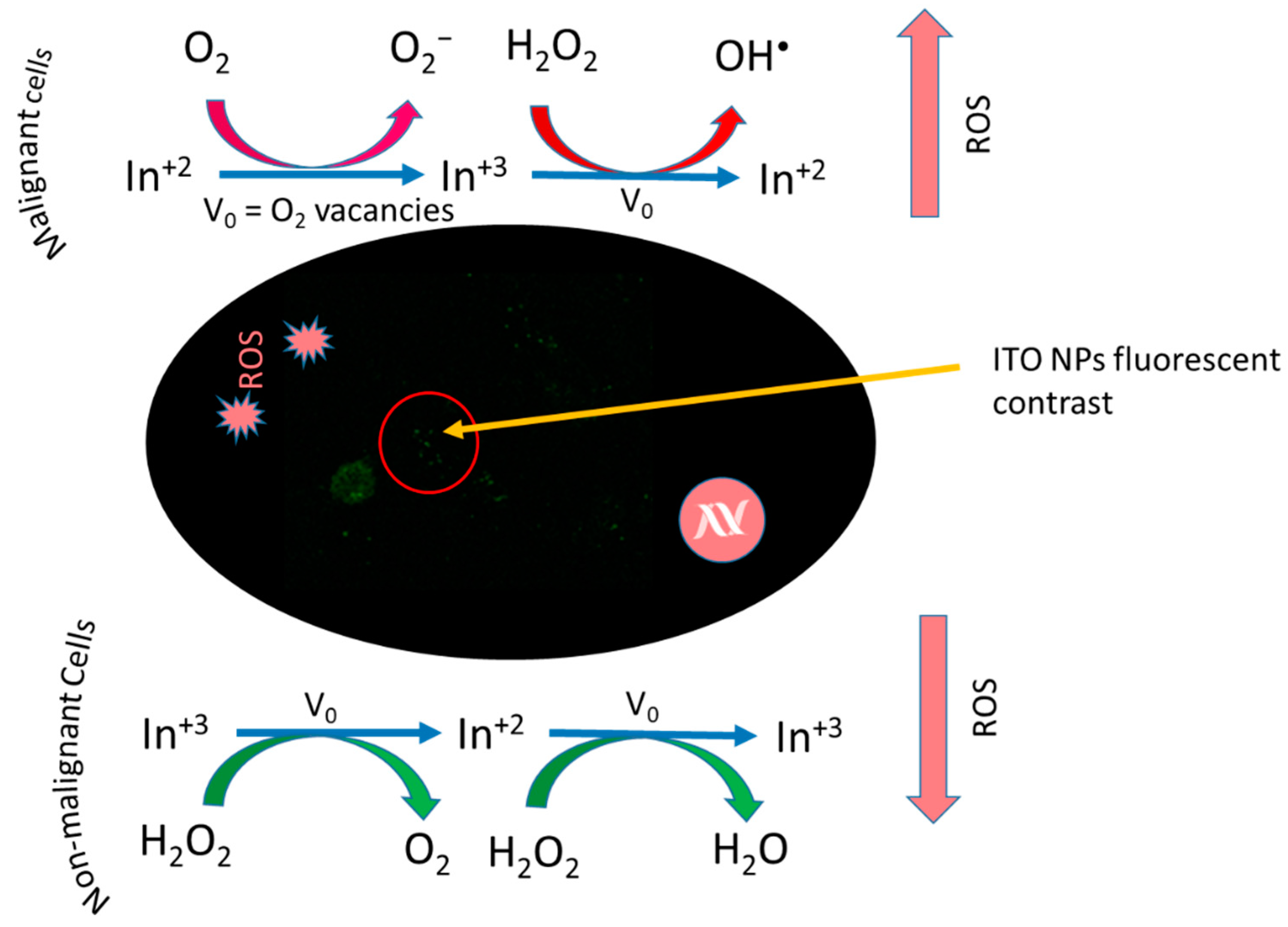 Nanomaterials 12 02462 g011 Nanomaterials 12 02462 g011