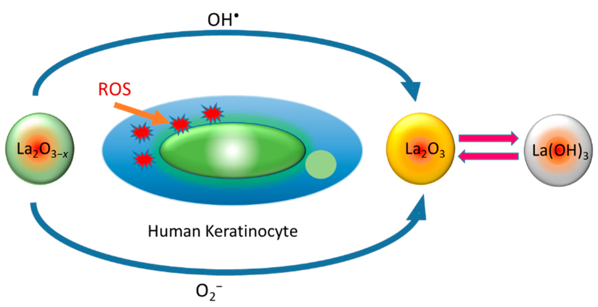 Nanomaterials 12 02462 g017 Nanomaterials 12 02462 g017