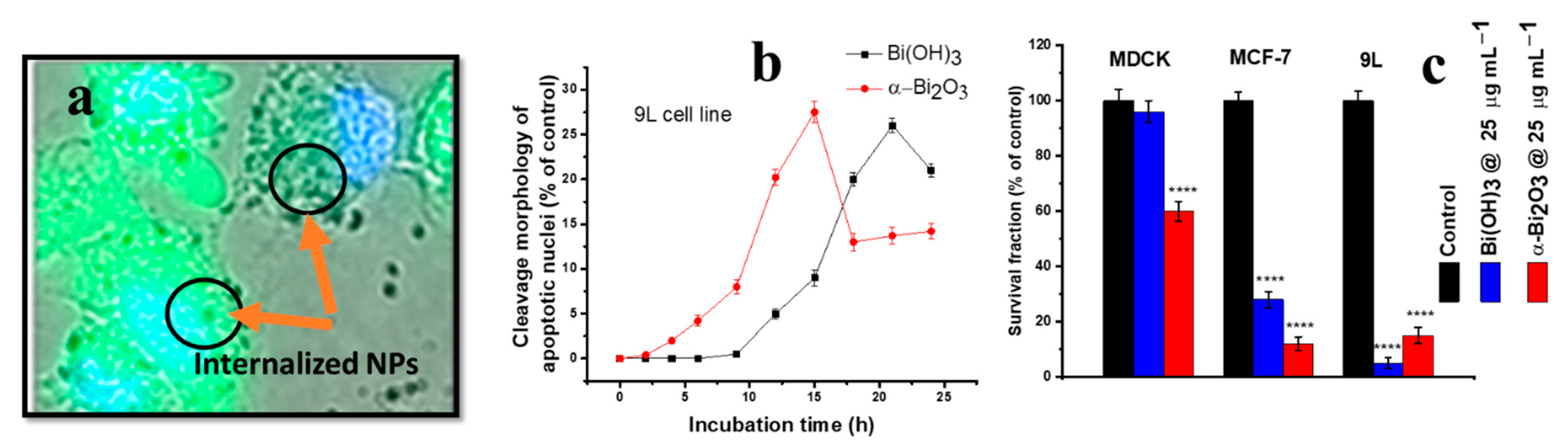 Nanomaterials 12 02462 g019 Nanomaterials 12 02462 g019