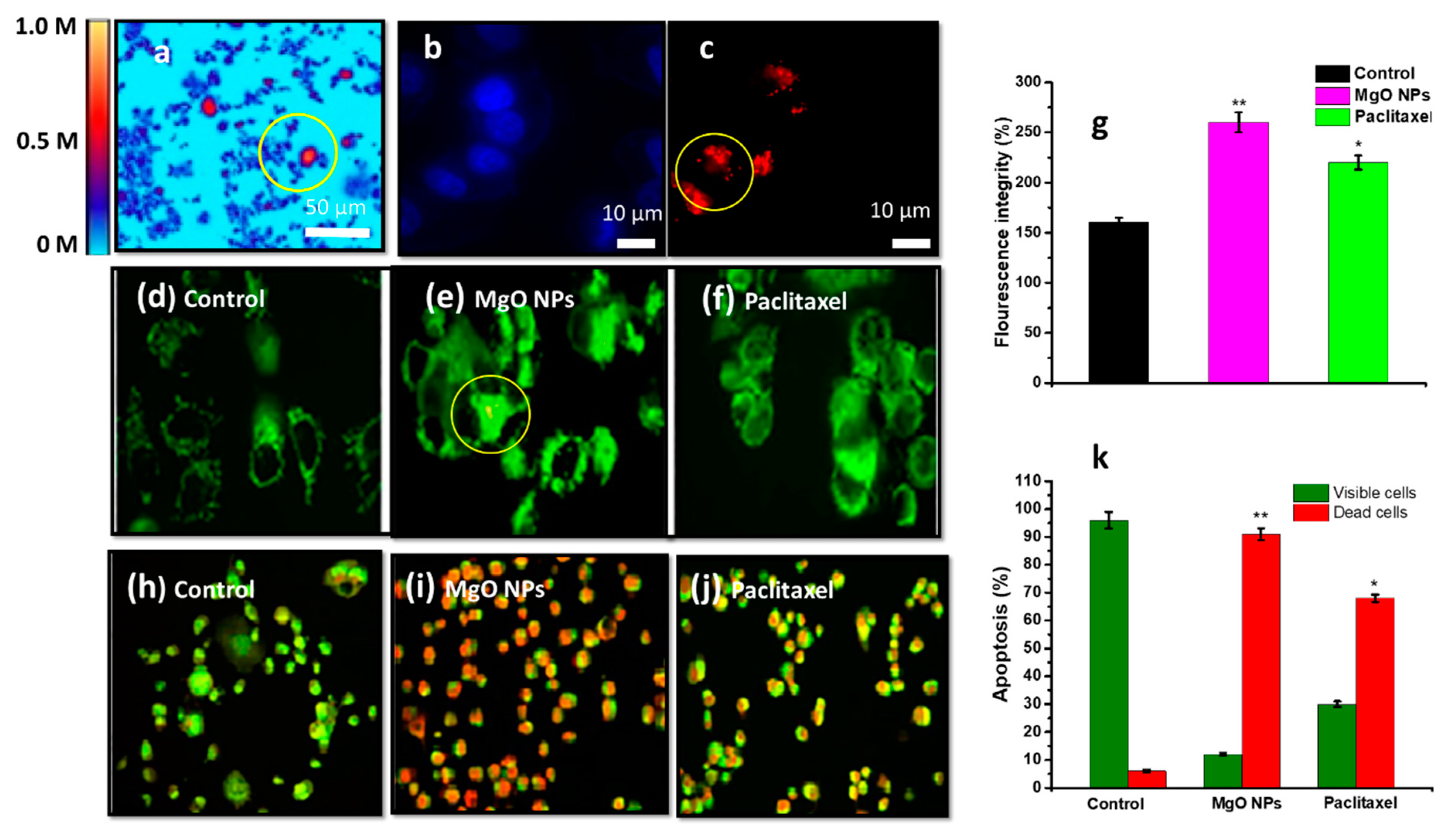 Nanomaterials 12 02462 g021 Nanomaterials 12 02462 g021