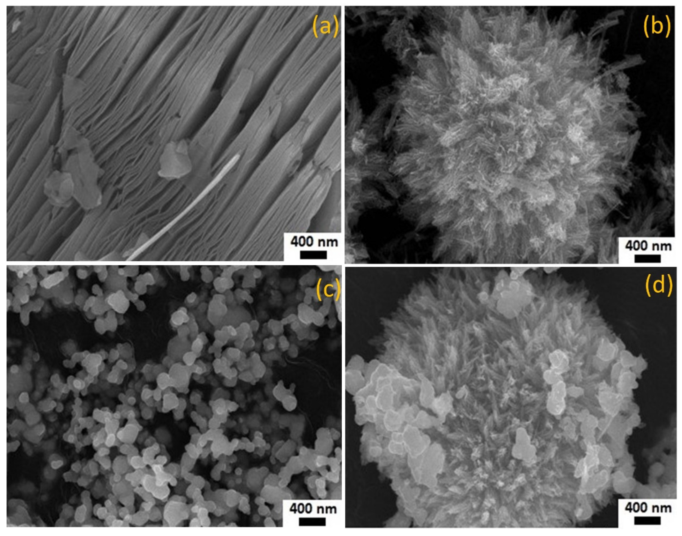 Nanomaterials 12 02464 g002