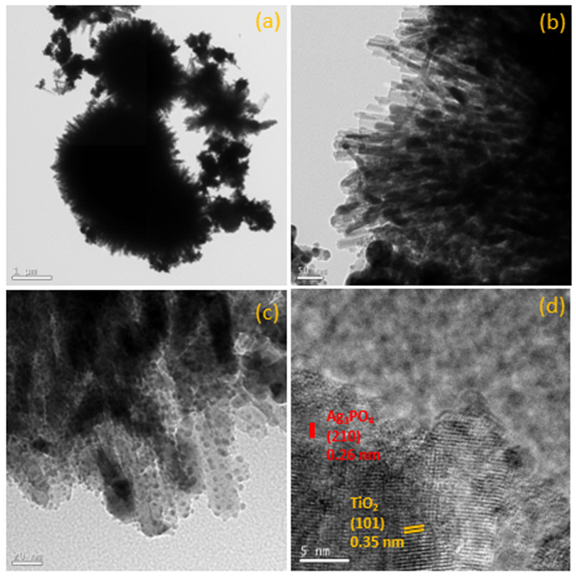 Nanomaterials 12 02464 g003