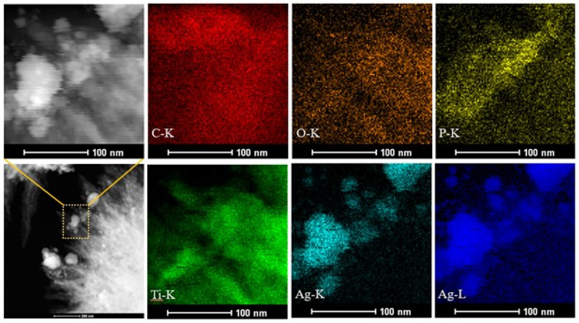 Nanomaterials 12 02464 g004