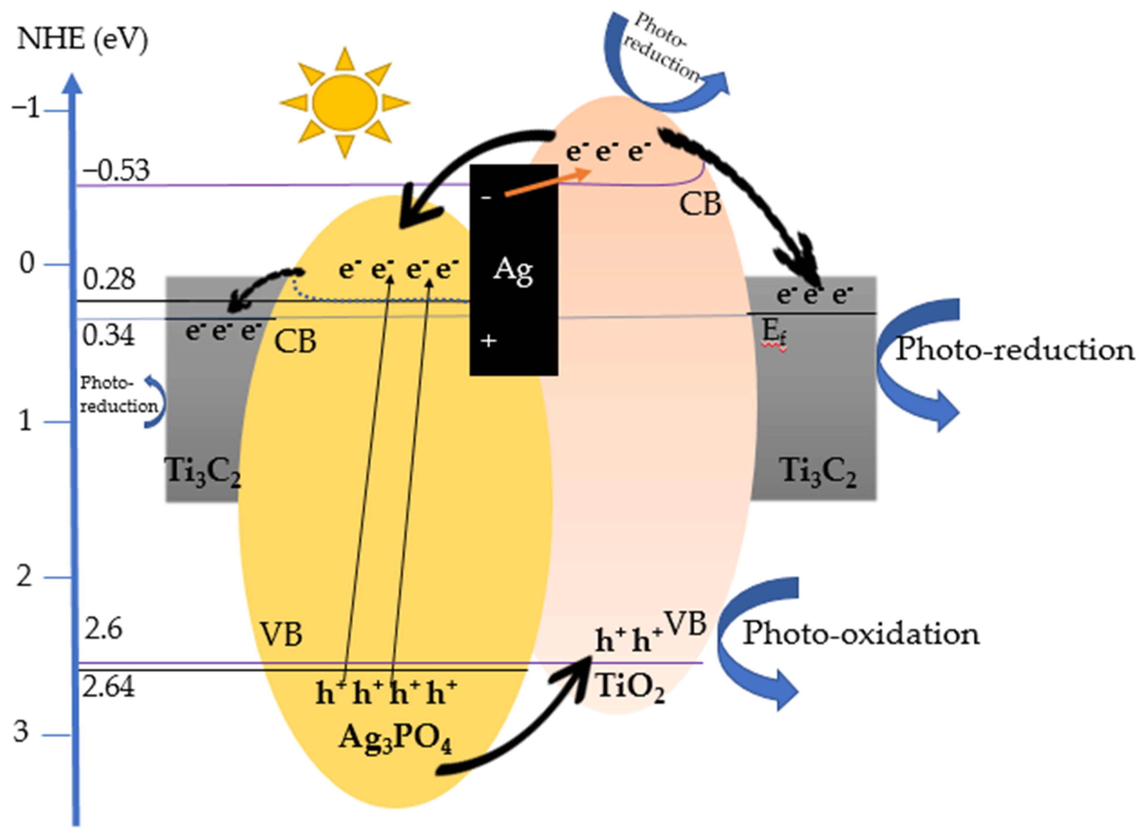 Nanomaterials 12 02464 g010