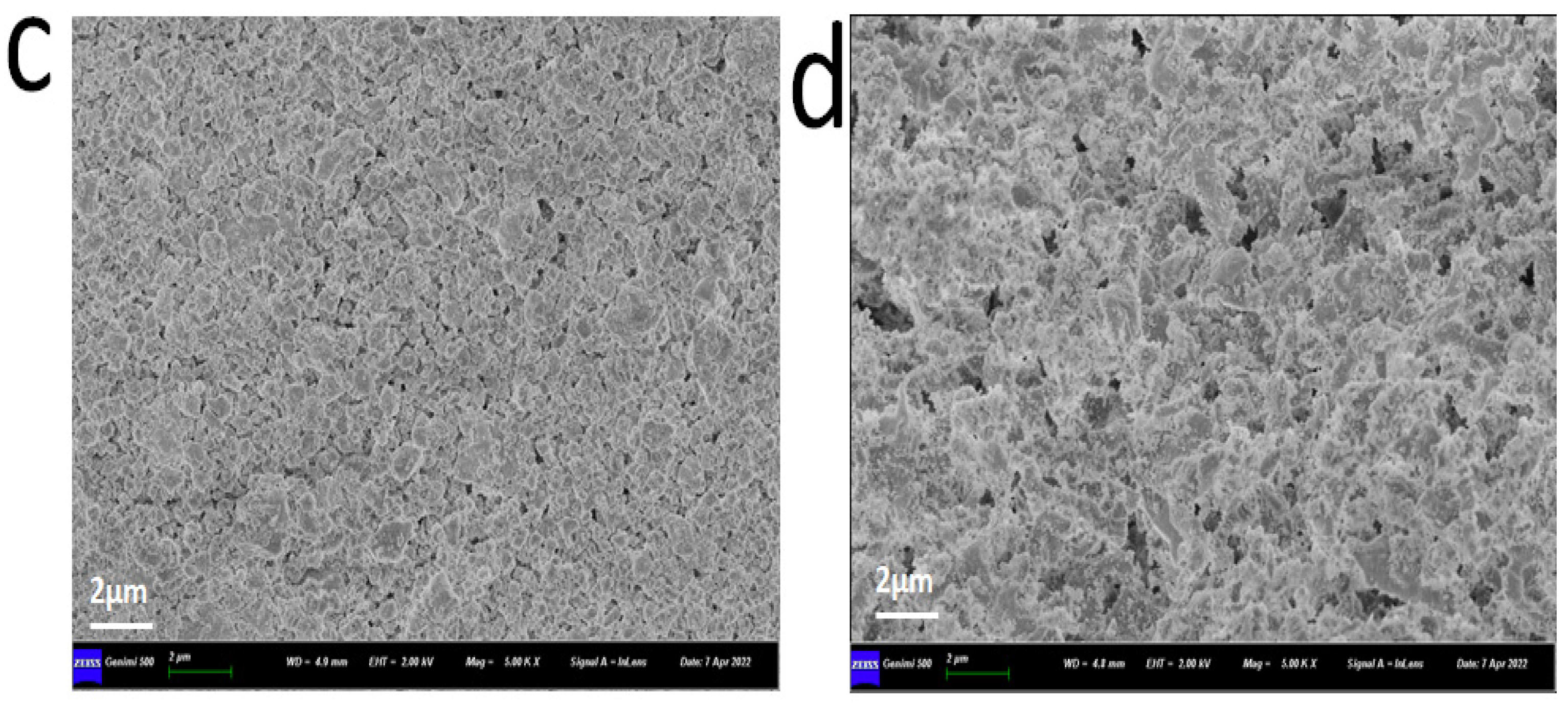 Nanomaterials 12 02468 g005b
