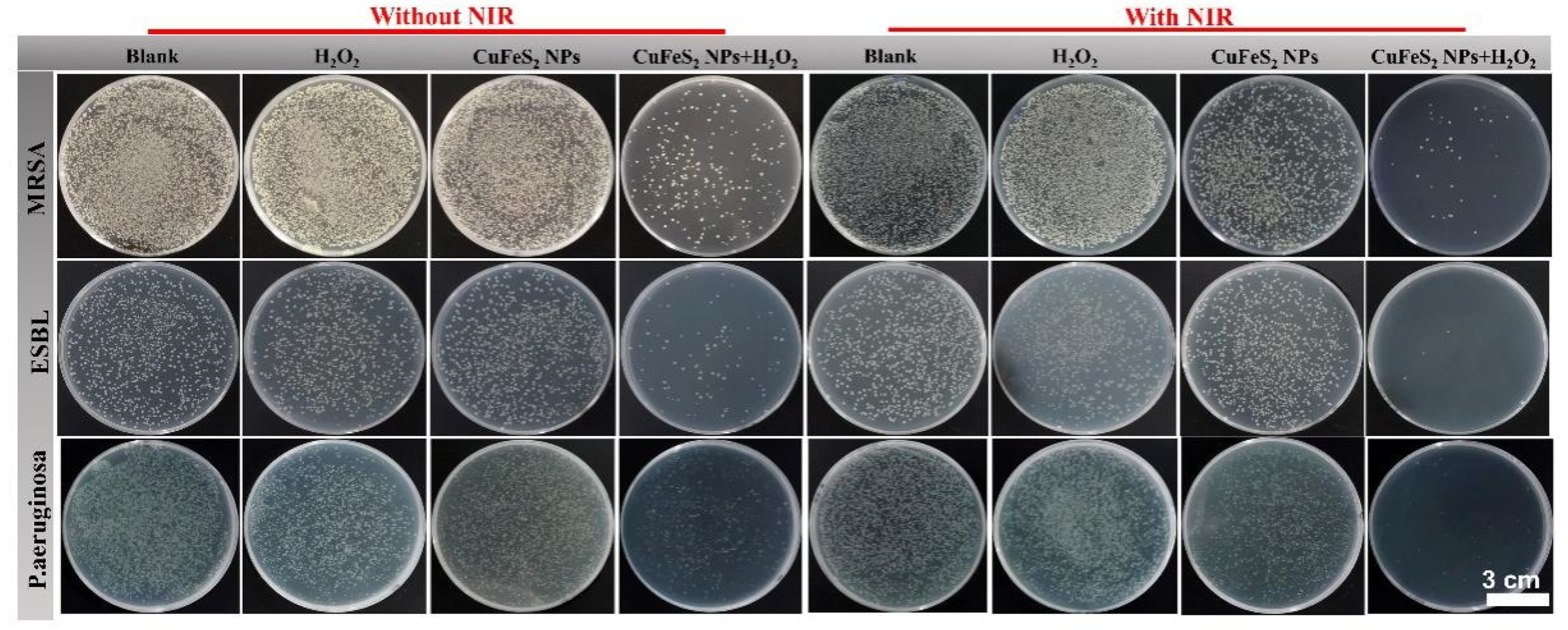 Nanomaterials 12 02469 g004