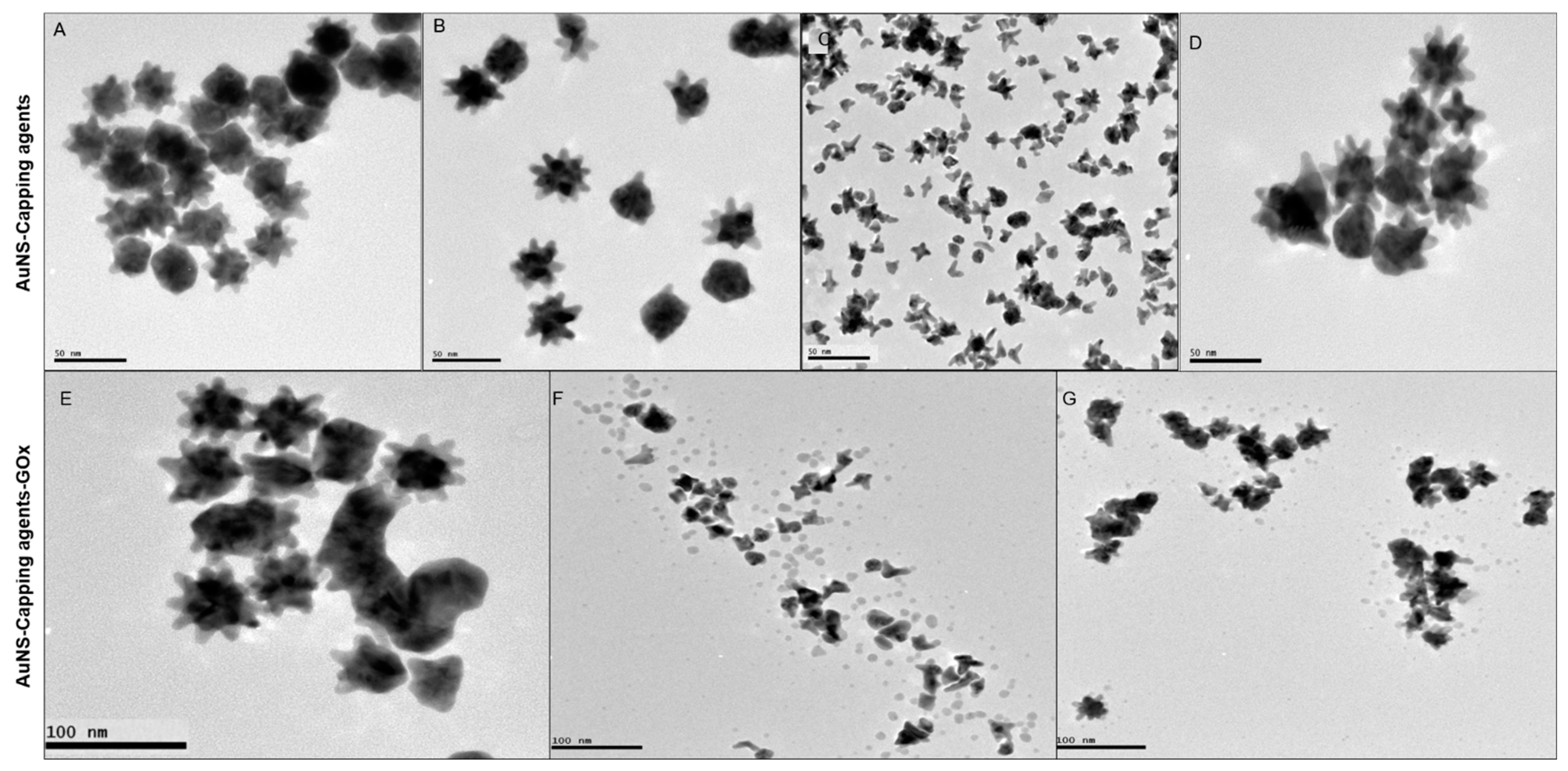 Nanomaterials 12 02470 g002