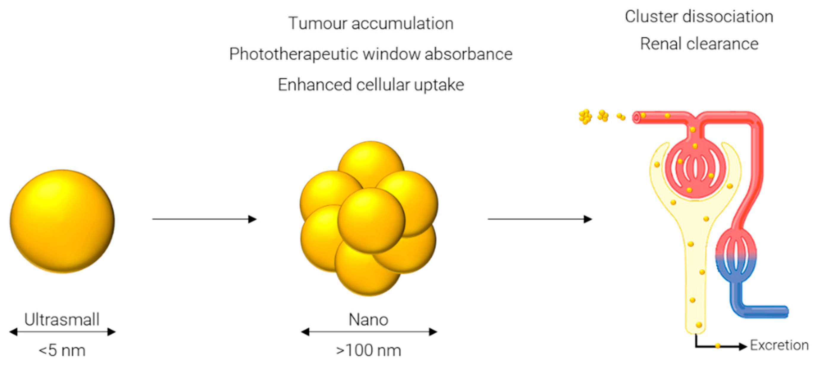 Nanomaterials 12 02476 g004 Nanomaterials 12 02476 g004
