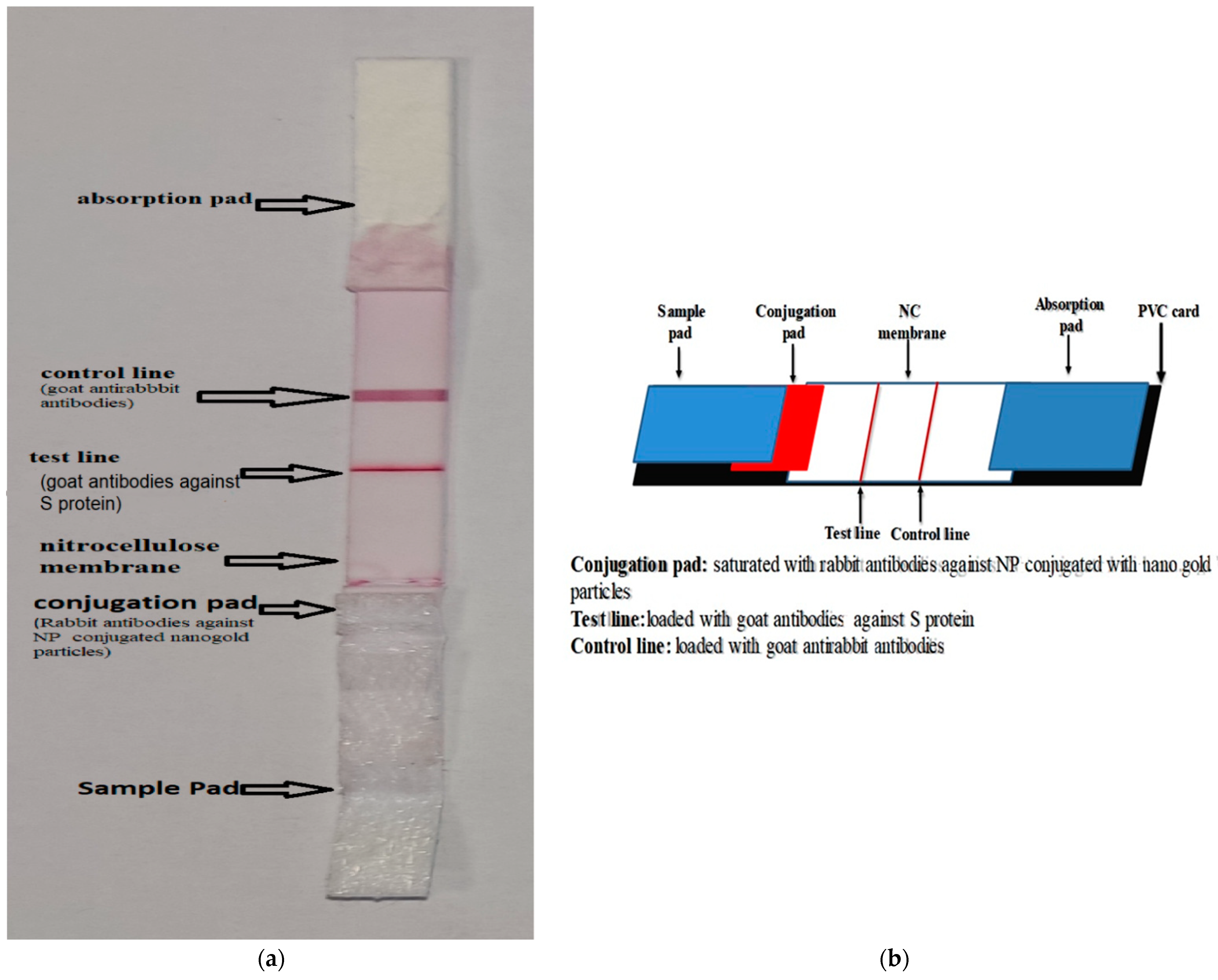 Nanomaterials 12 02477 g001