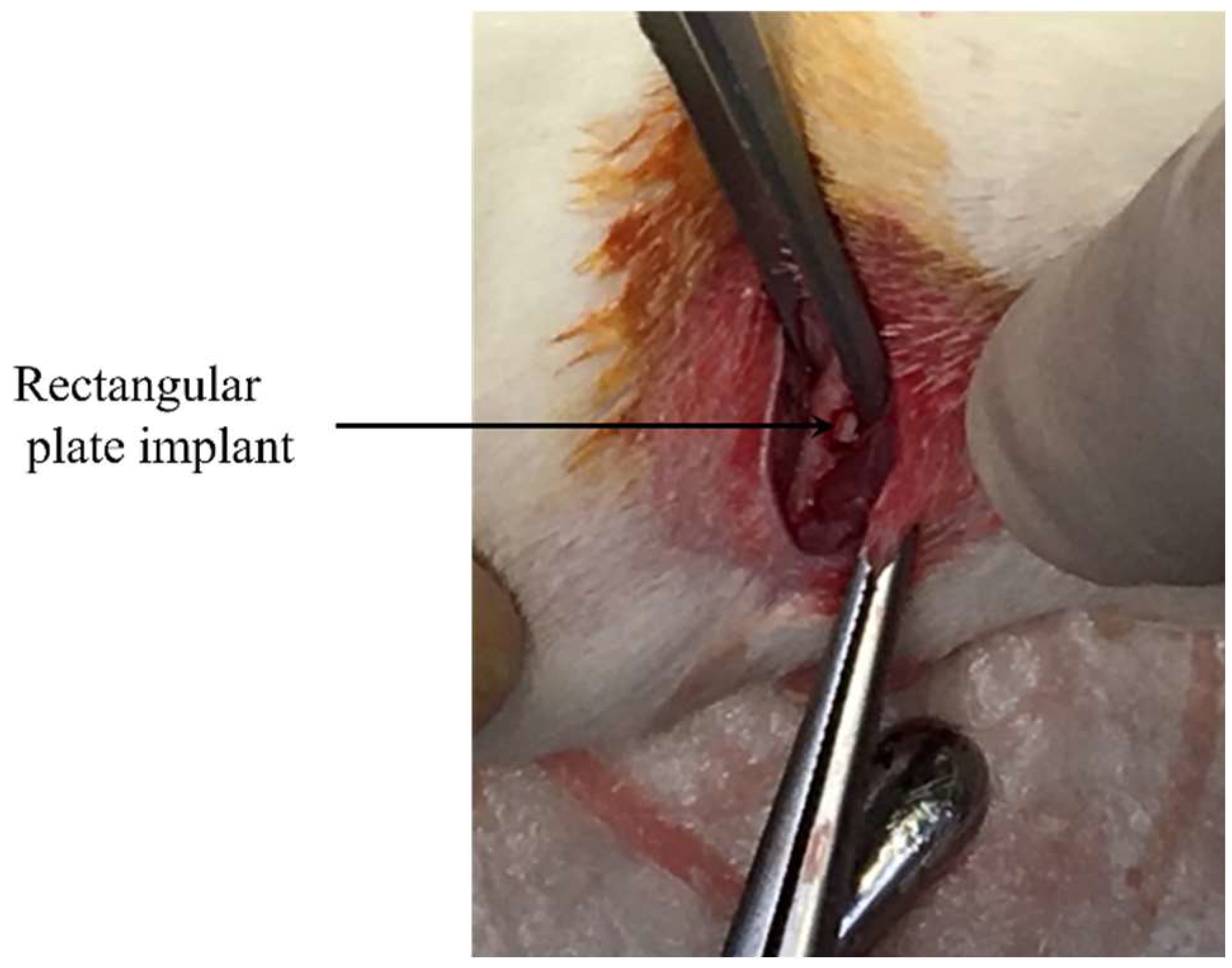 Nanomaterials 12 02478 g002