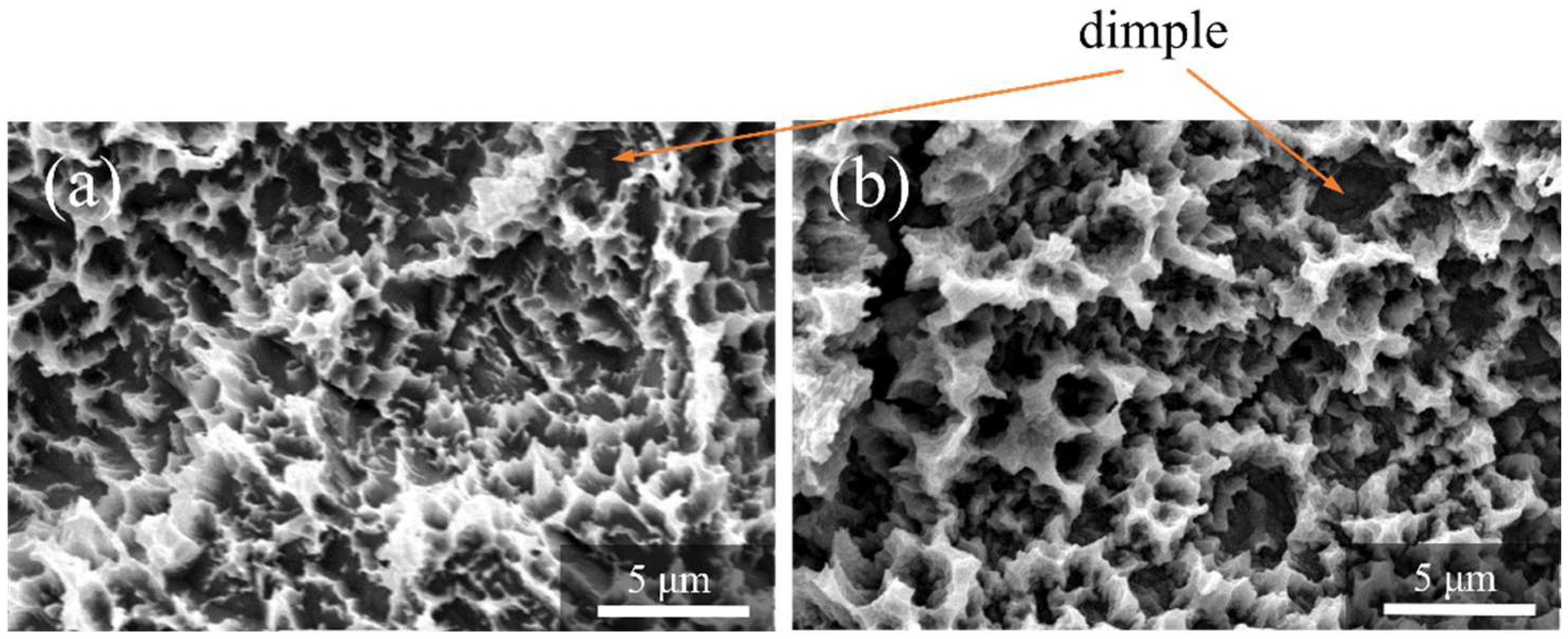 Nanomaterials 12 02478 g004