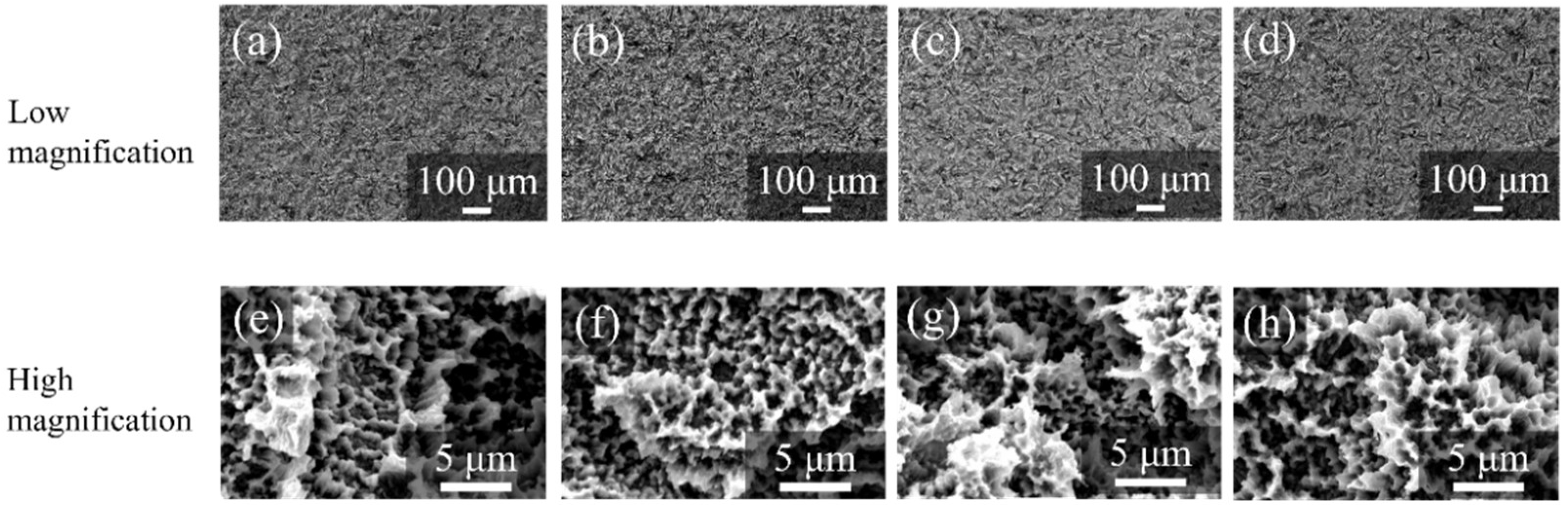 Nanomaterials 12 02478 g010