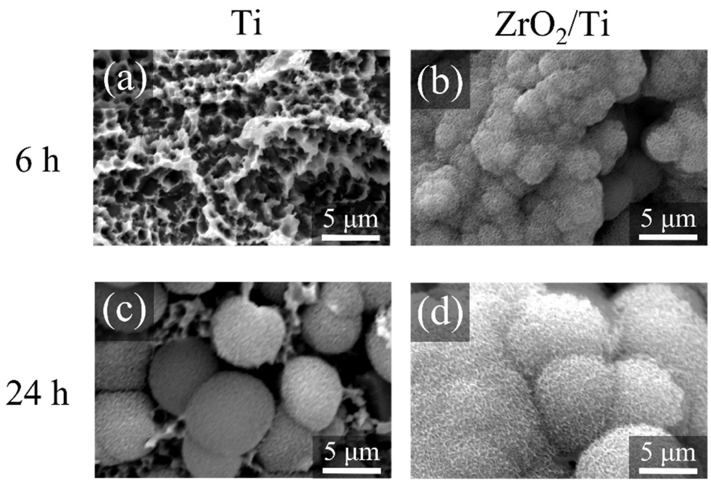 Nanomaterials 12 02478 g011