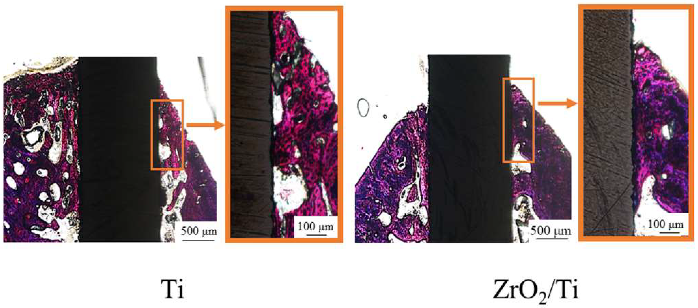 Nanomaterials 12 02478 g014