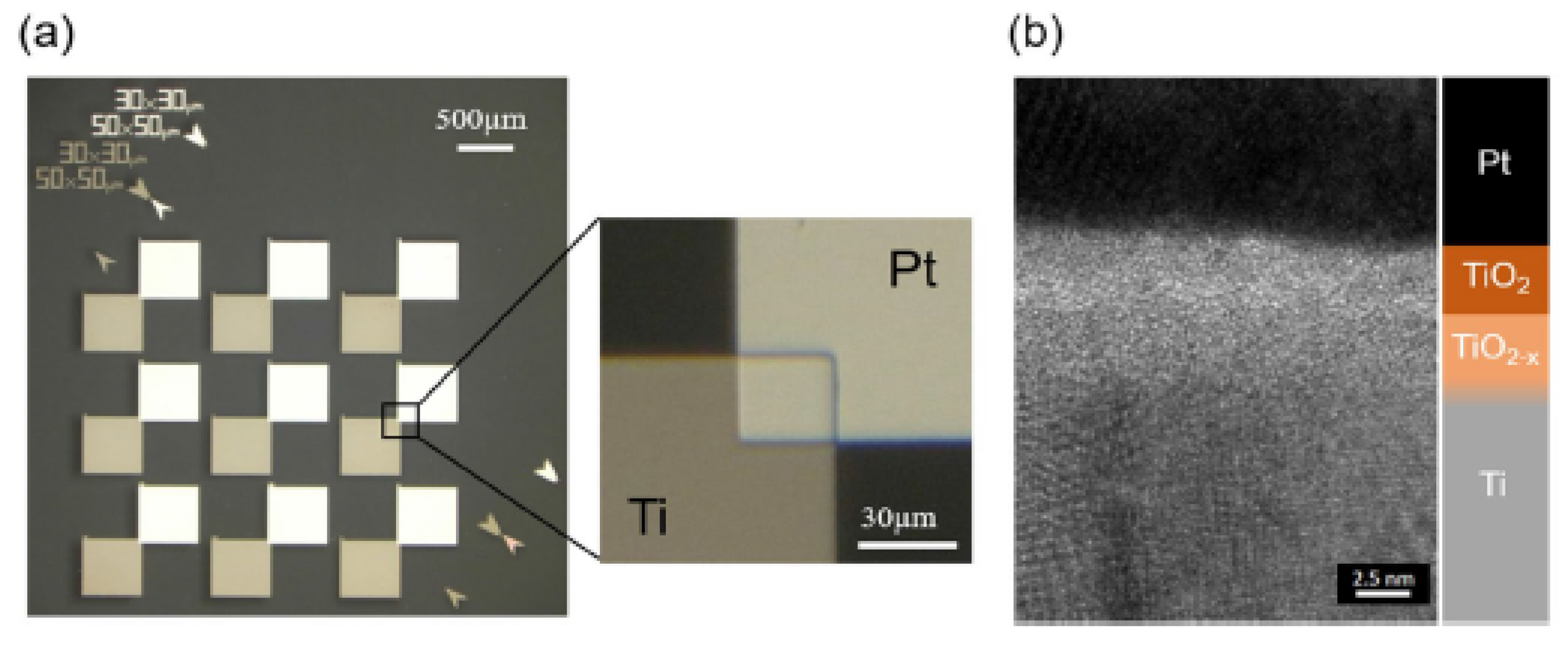 Nanomaterials 12 02479 g013 550