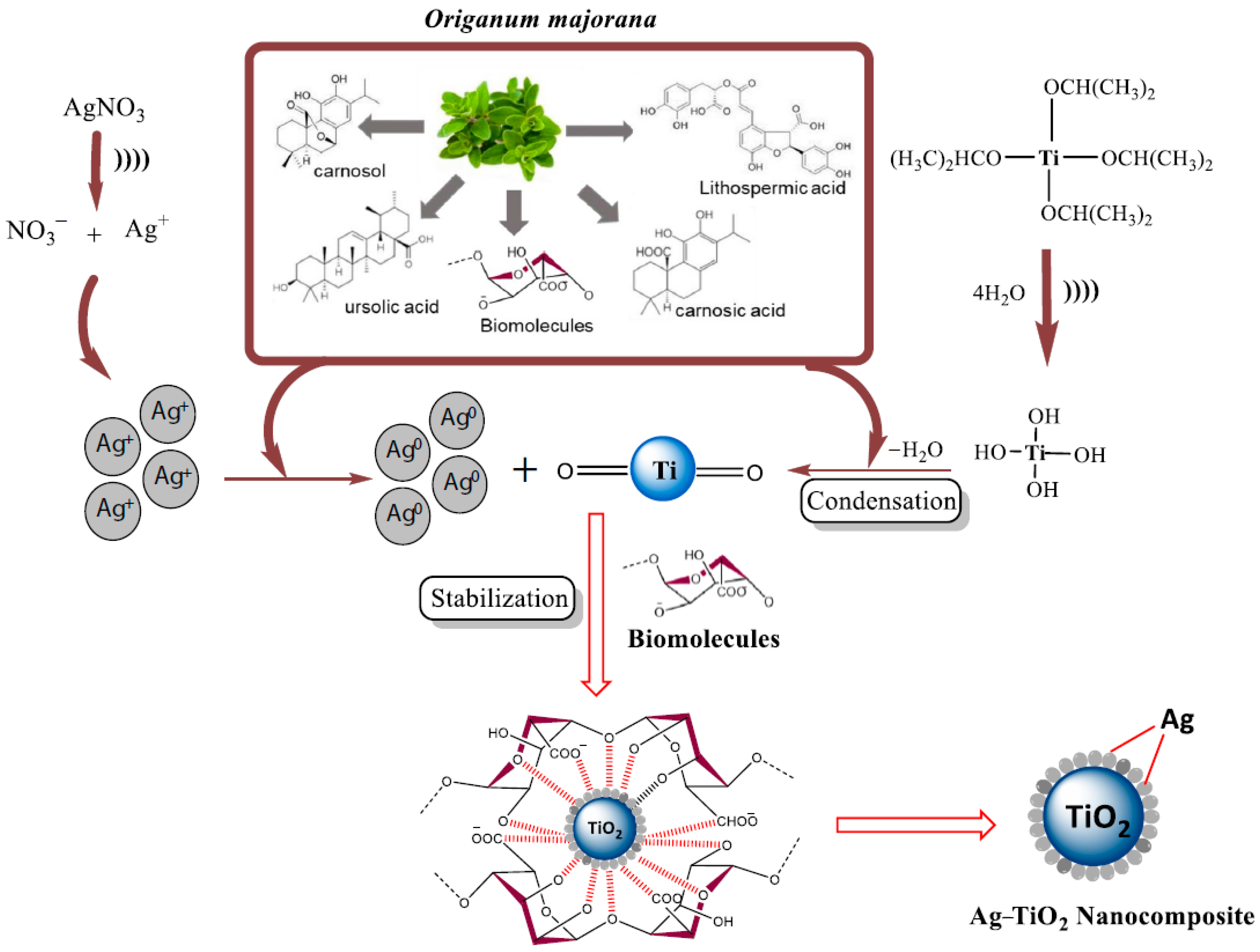 Nanomaterials 12 02485 g013