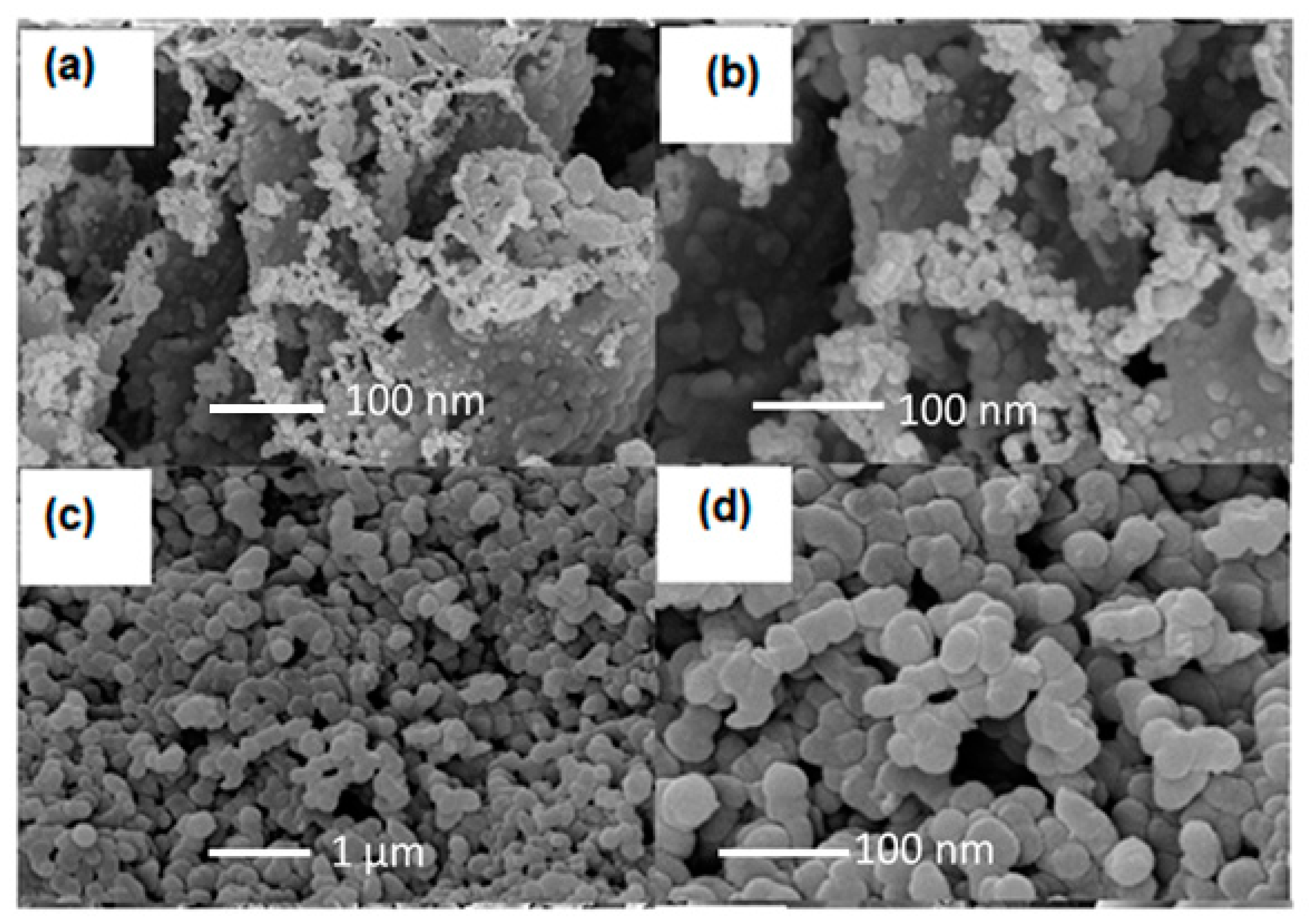Nanomaterials 12 02491 g008