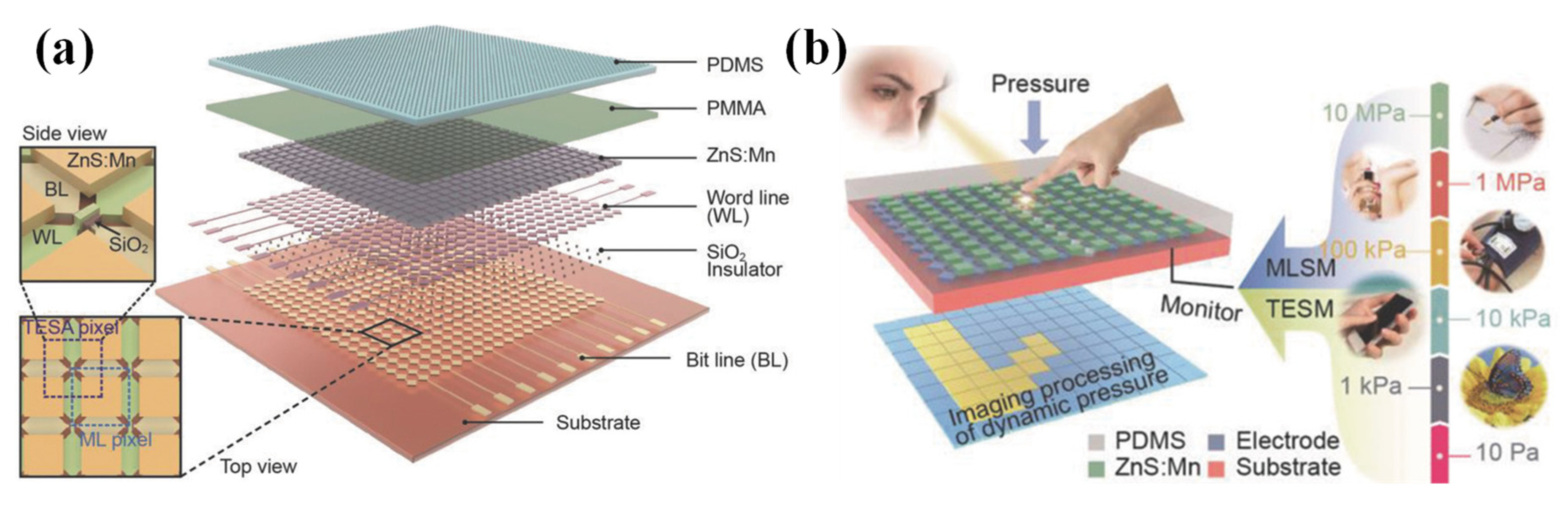 Nanomaterials 12 02495 g007