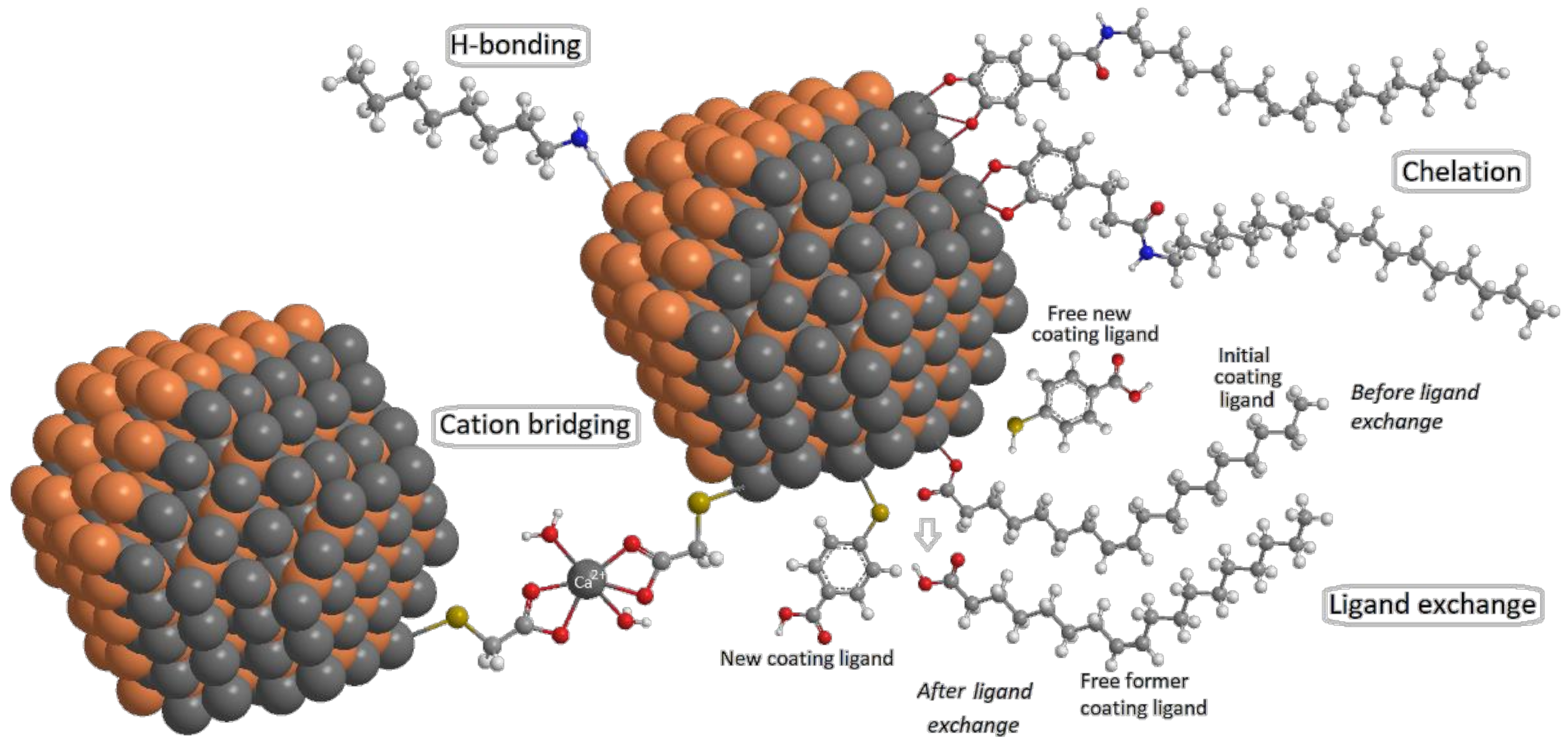 Nanomaterials 12 02501 g003 Nanomaterials 12 02501 g003