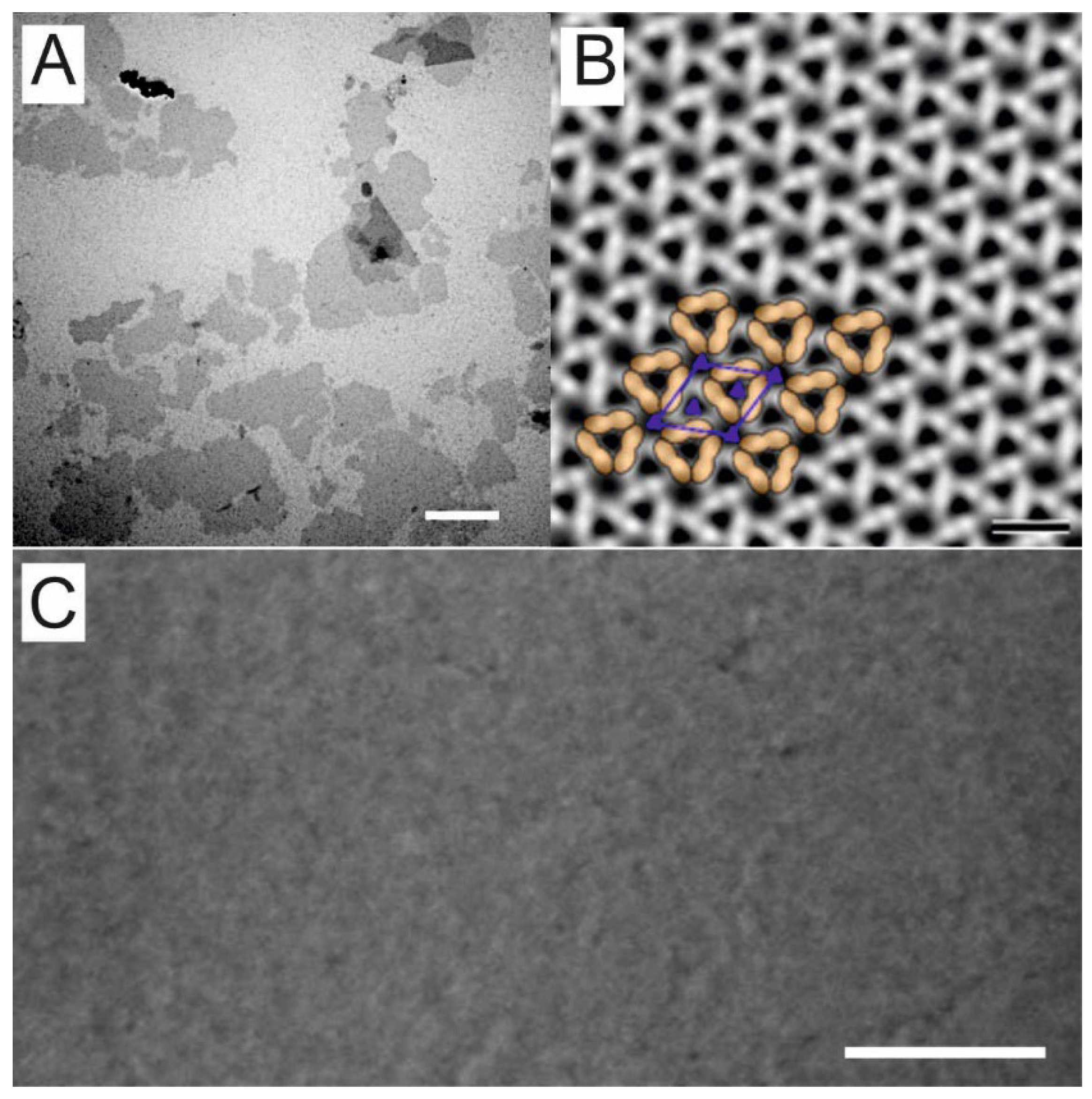 Nanomaterials 12 02502 g003