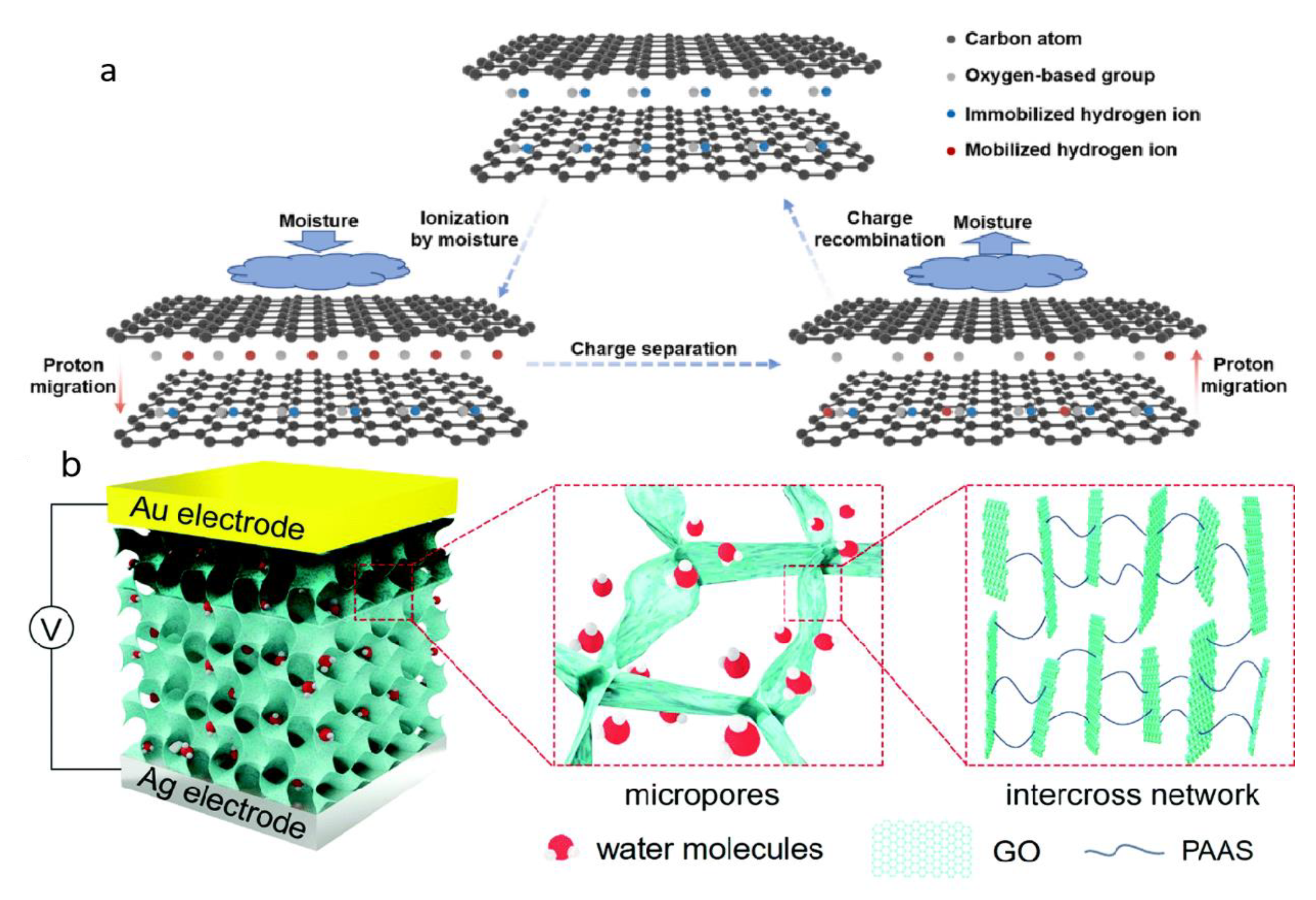 Nanomaterials 12 02521 g007