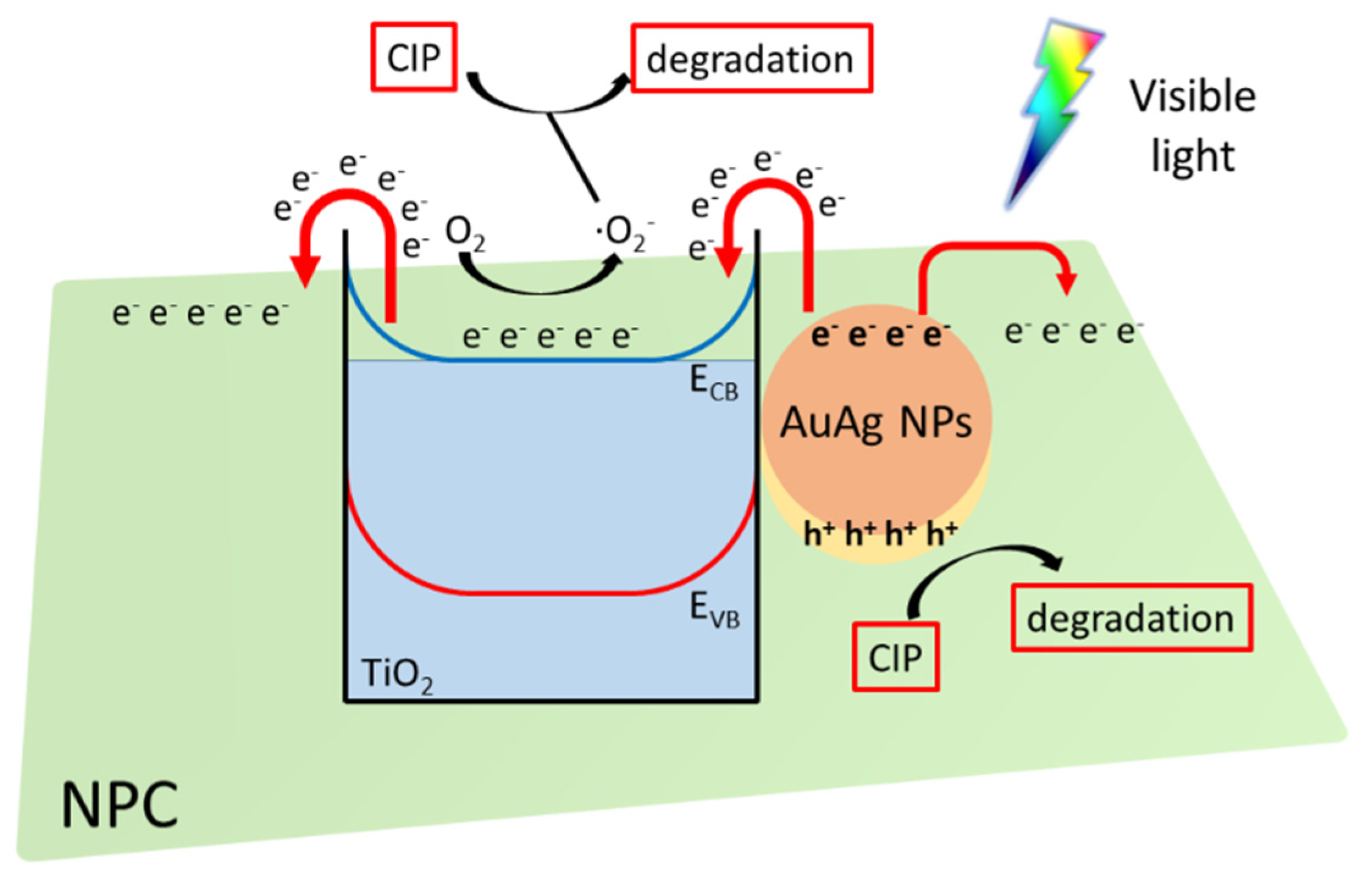 Nanomaterials 12 02524 g008 550