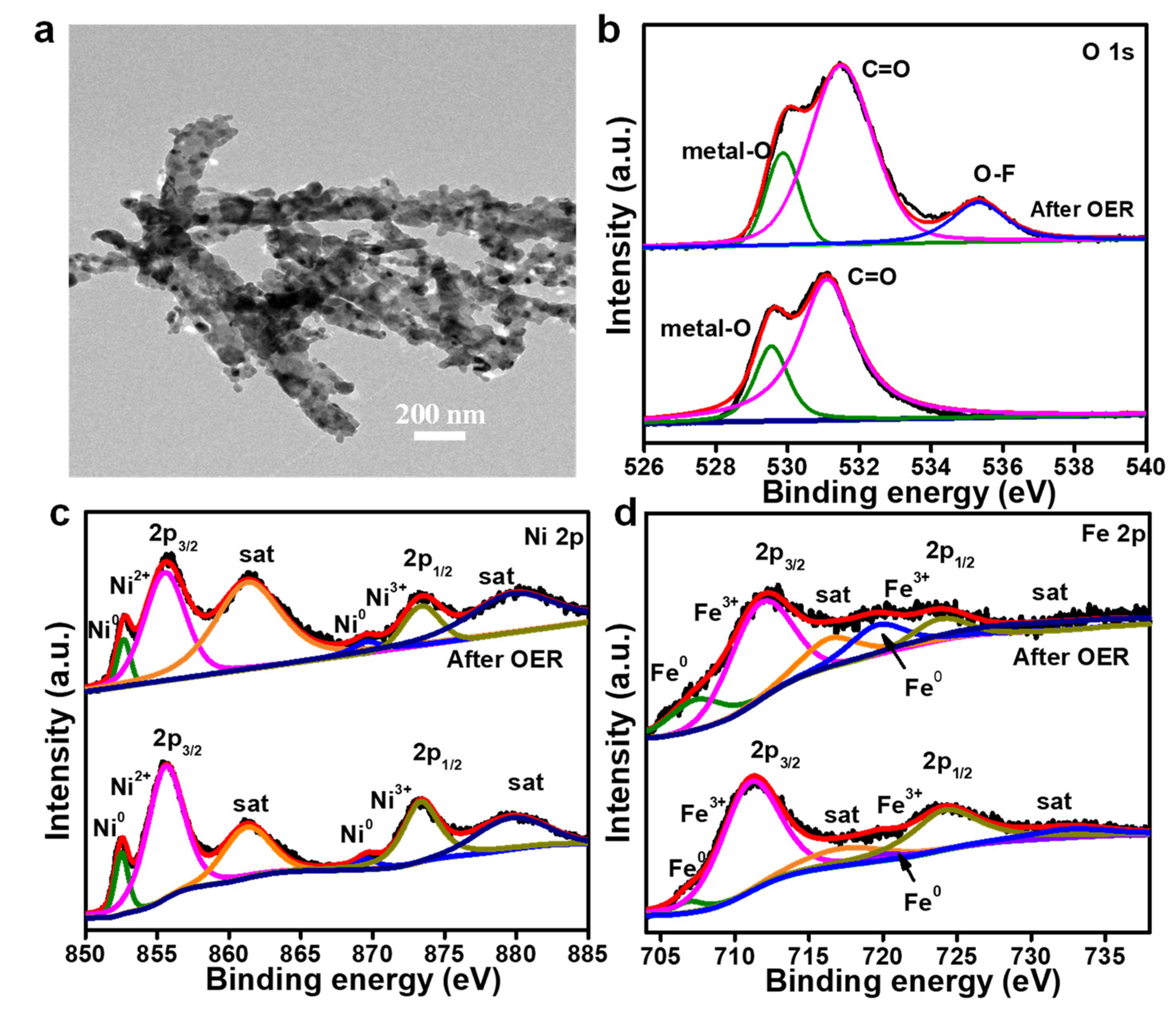 Nanomaterials 12 02525 g005