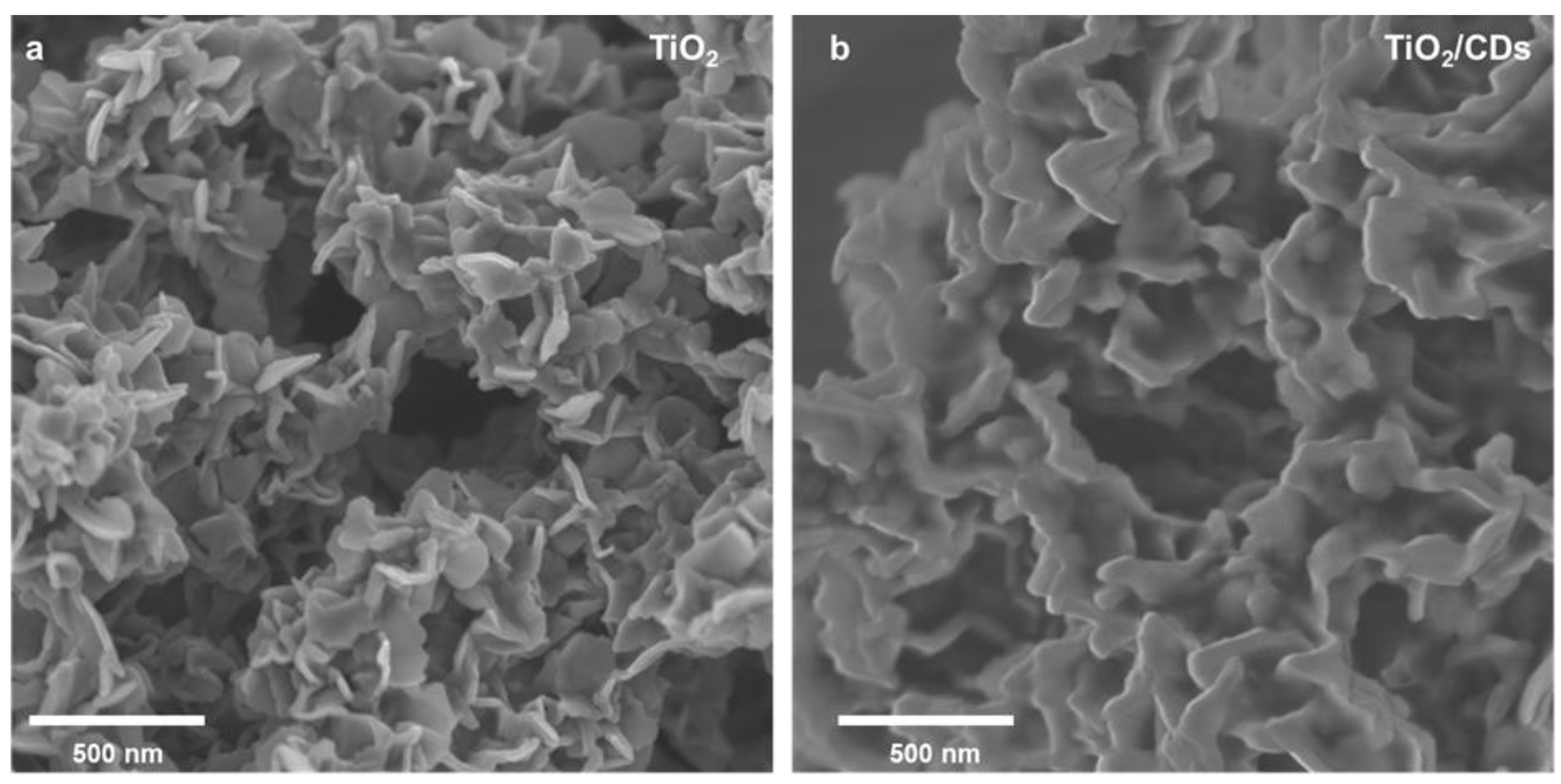 Nanomaterials 12 02536 g002
