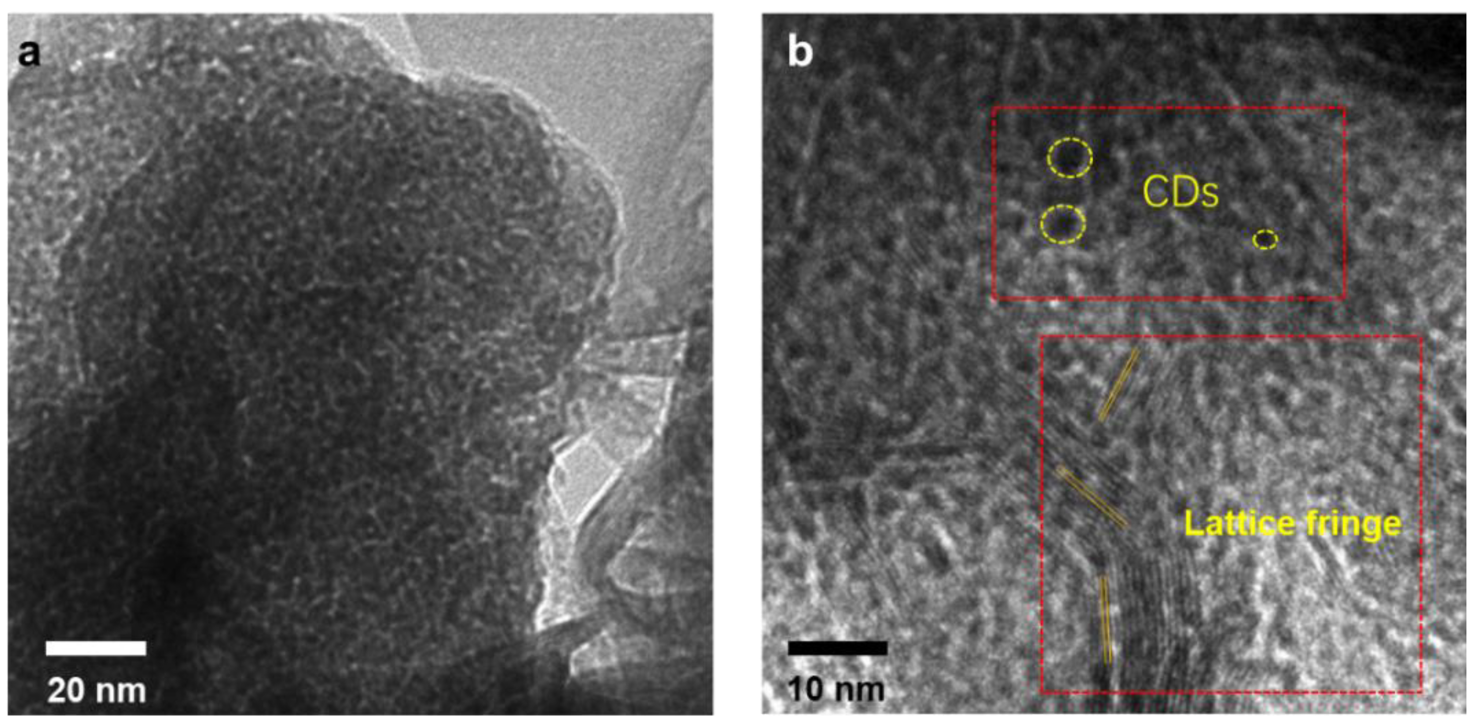 Nanomaterials 12 02536 g004