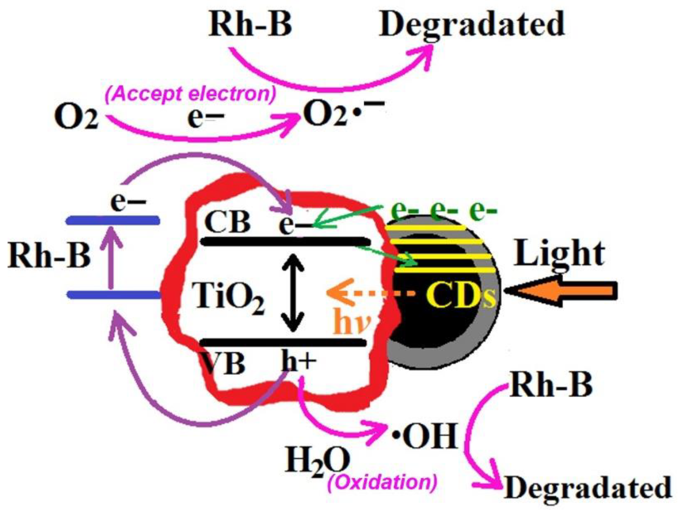 Nanomaterials 12 02536 g008